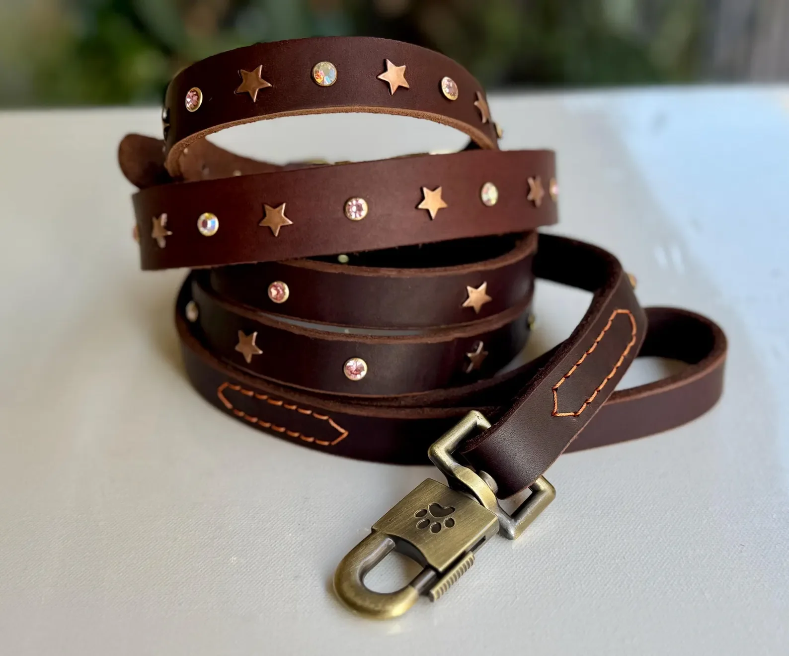 Leather Leash + Collar Set | $149