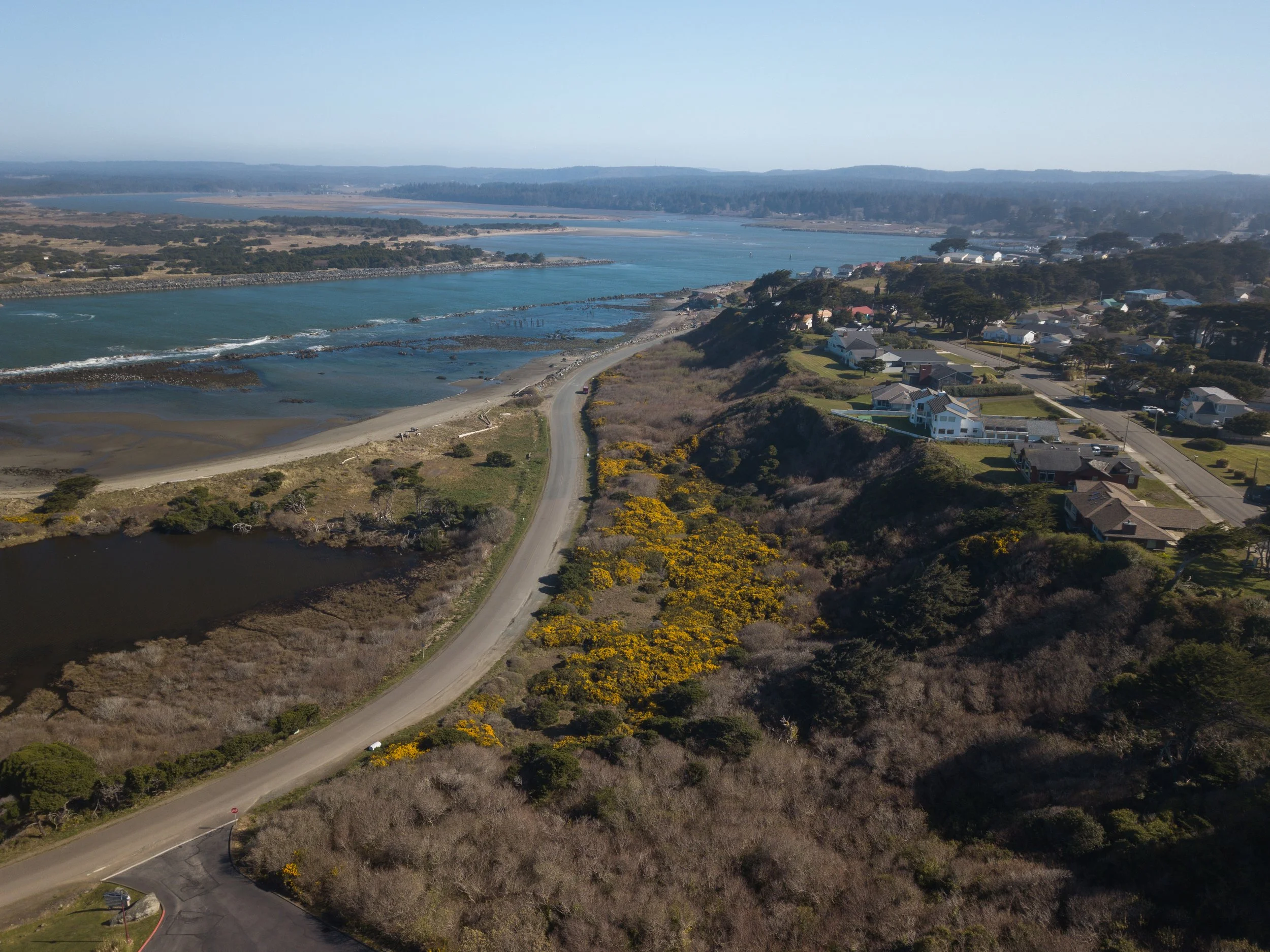 2020.02.27_Gorse_Secton1_DJI_0034.jpg