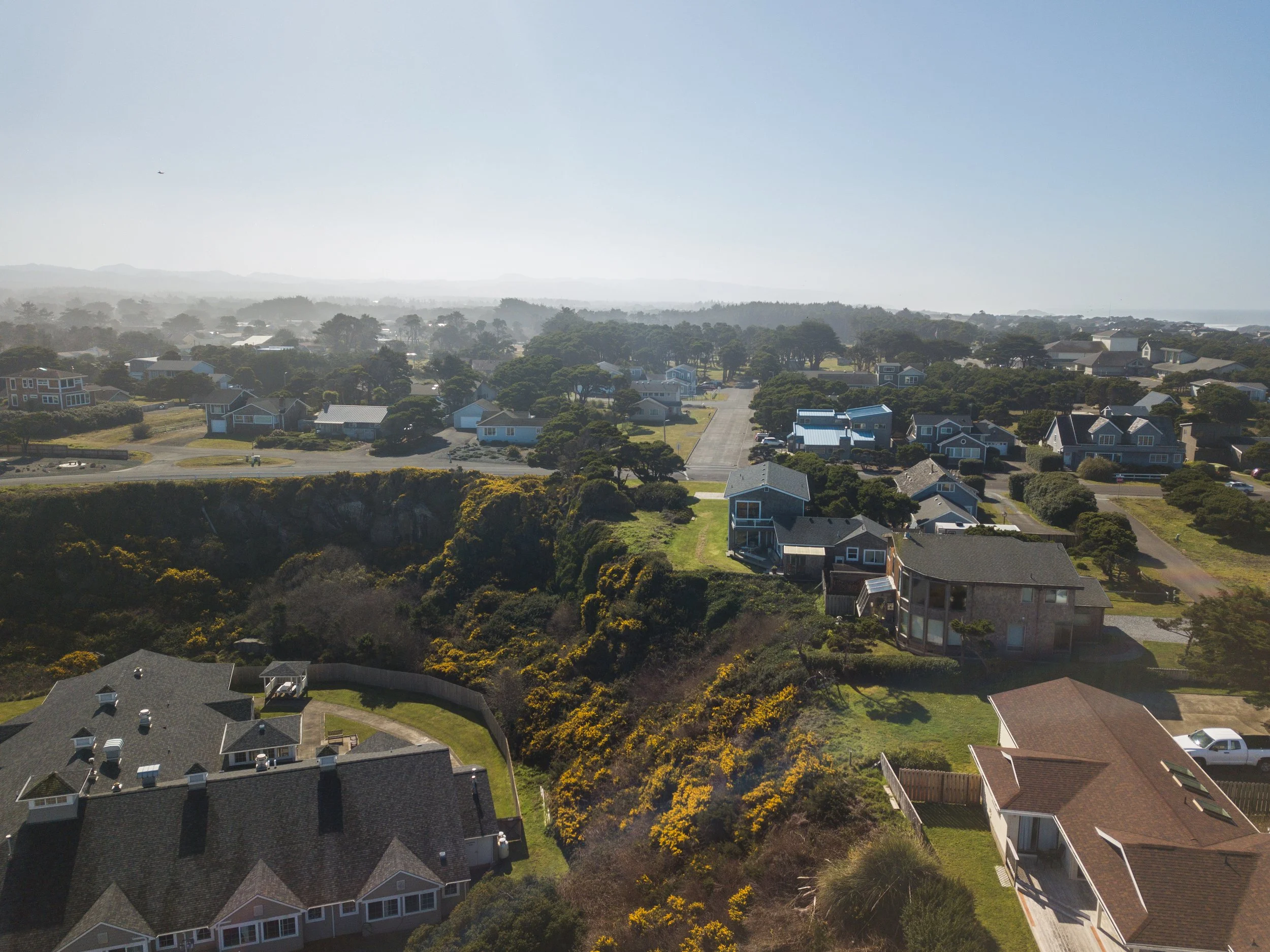 2020.02.27_Gorse_Secton1_DJI_0022.jpg