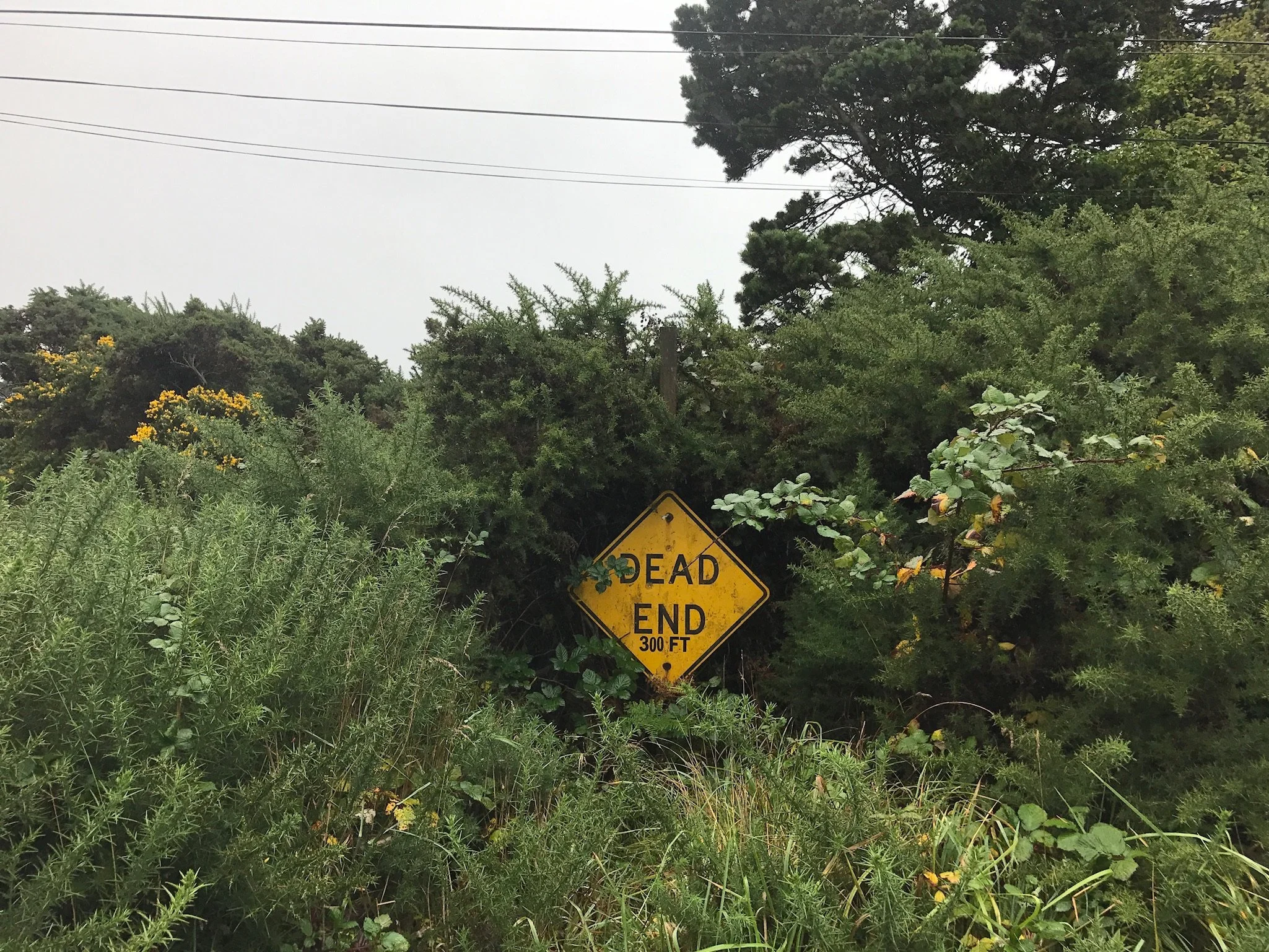 "Donut Hole" dead end