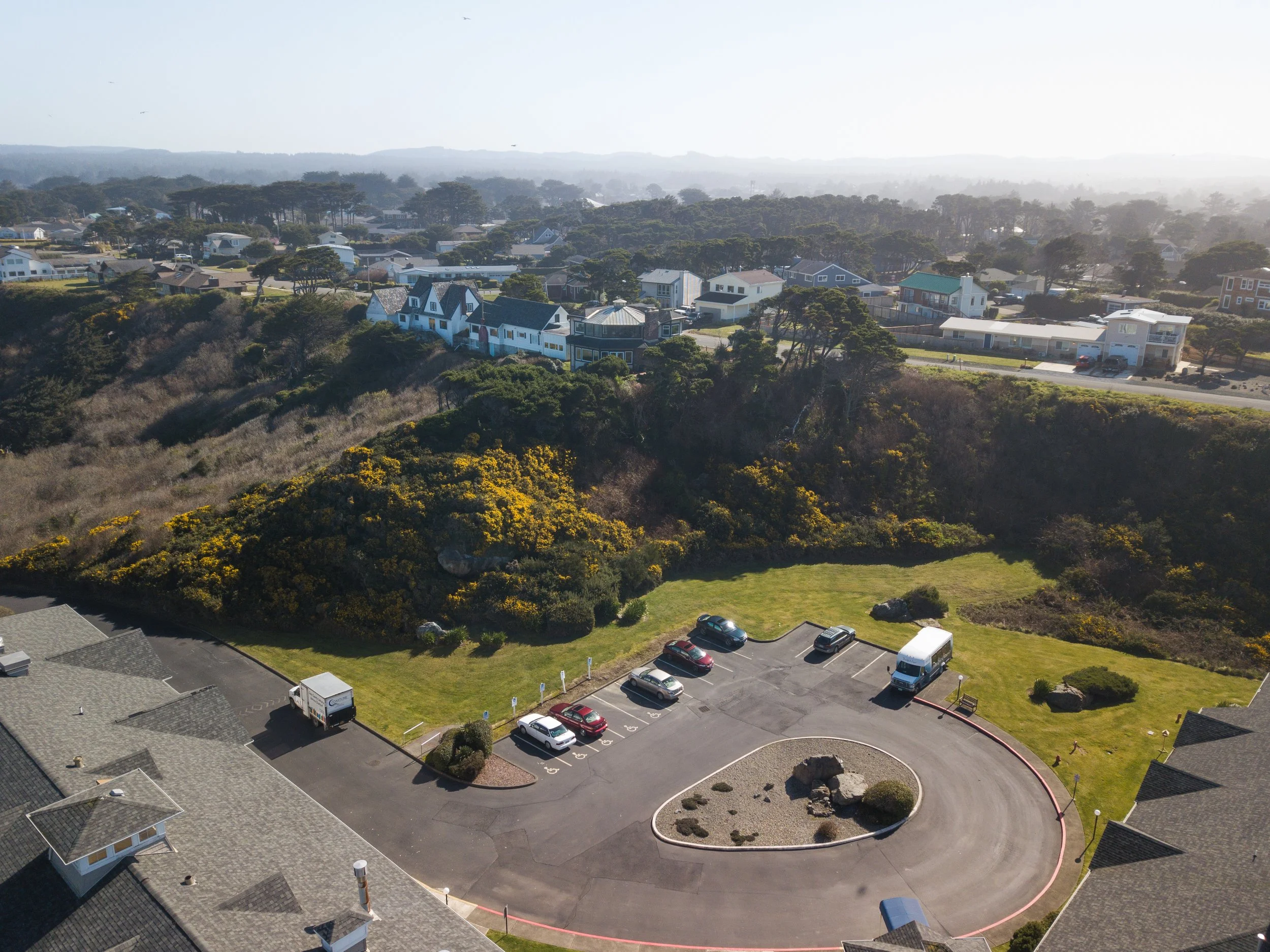 2020.02.27_Gorse_Secton1_DJI_0026.jpg
