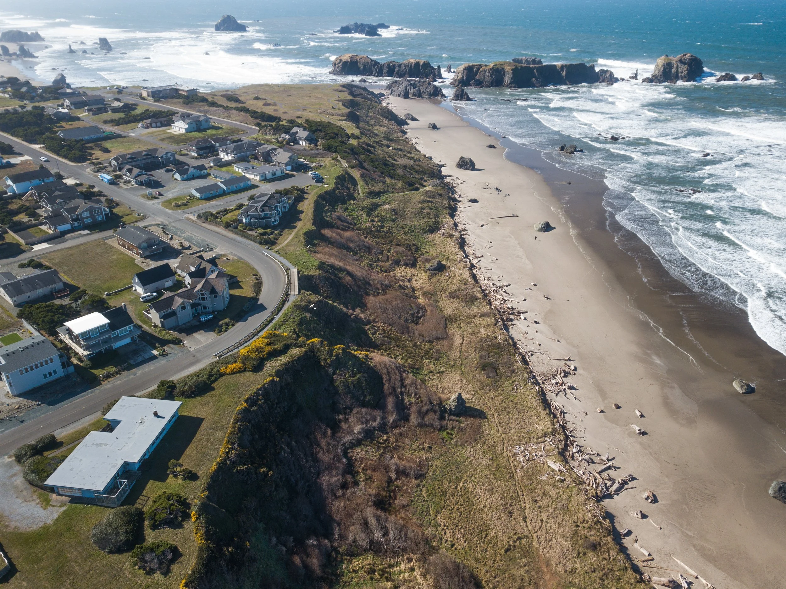 2020.02.27_Gorse_Secton1_DJI_0045.jpg