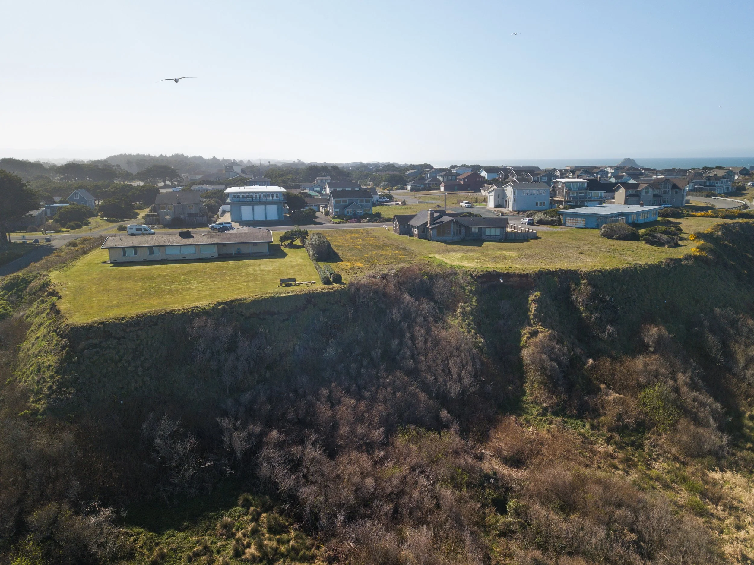 2020.02.27_Gorse_Secton1_DJI_0011.jpg