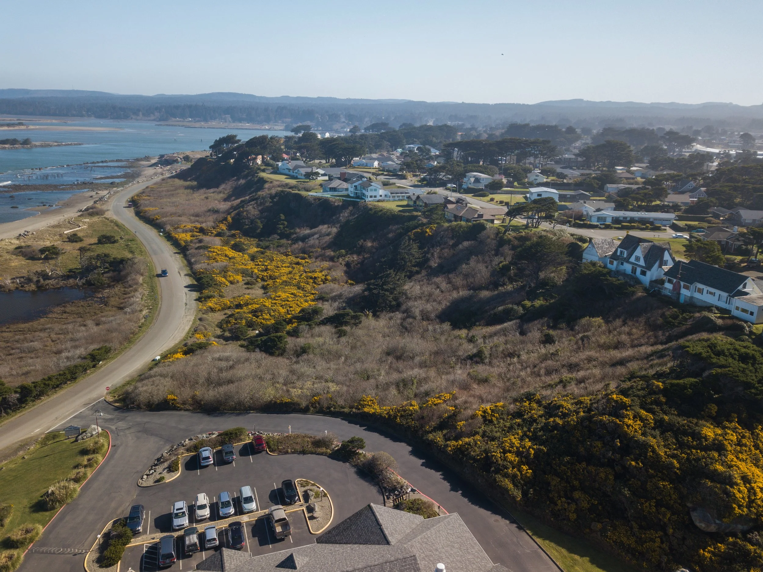 2020.02.27_Gorse_Secton1_DJI_0031.jpg