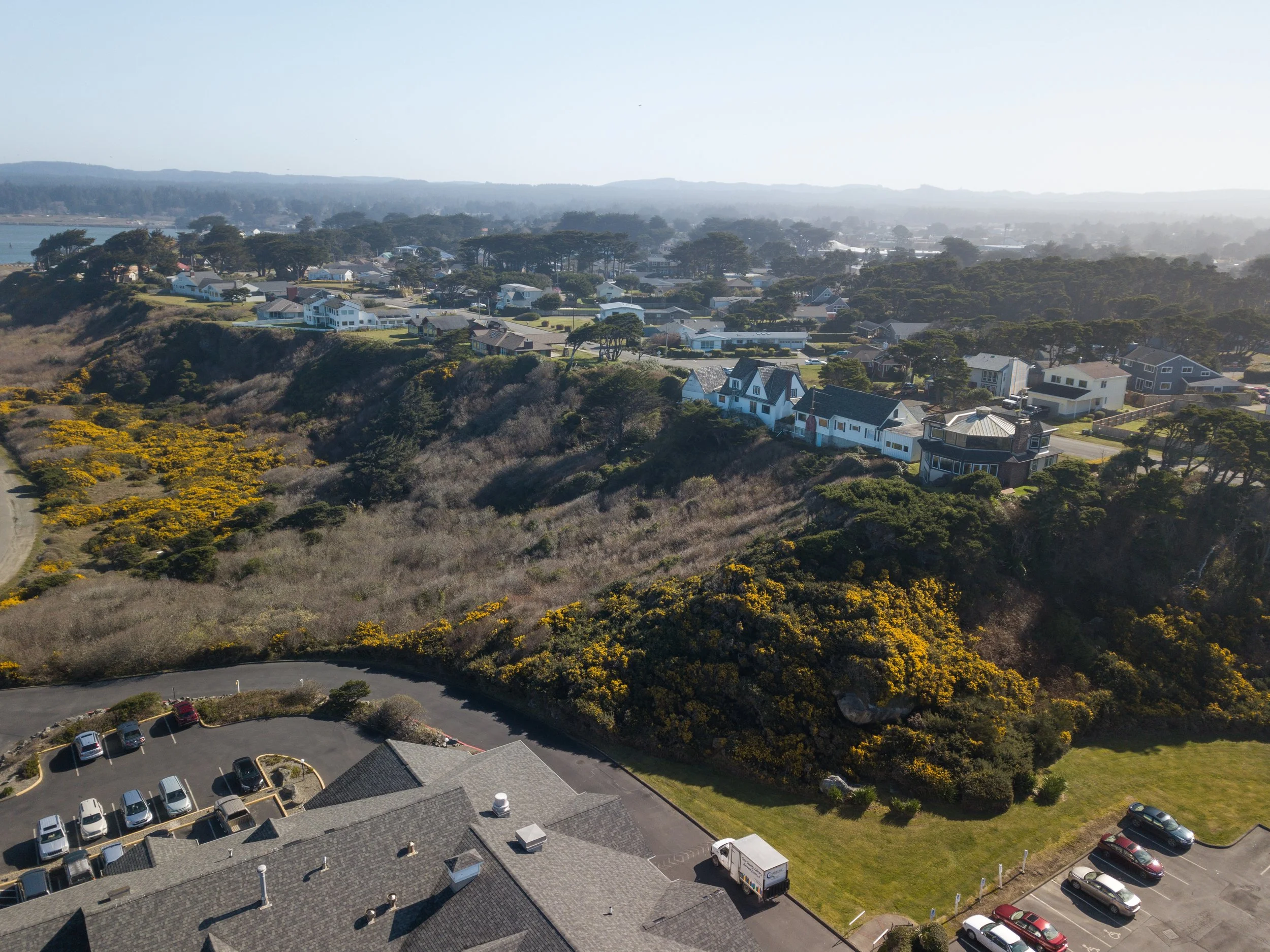 2020.02.27_Gorse_Secton1_DJI_0030.jpg