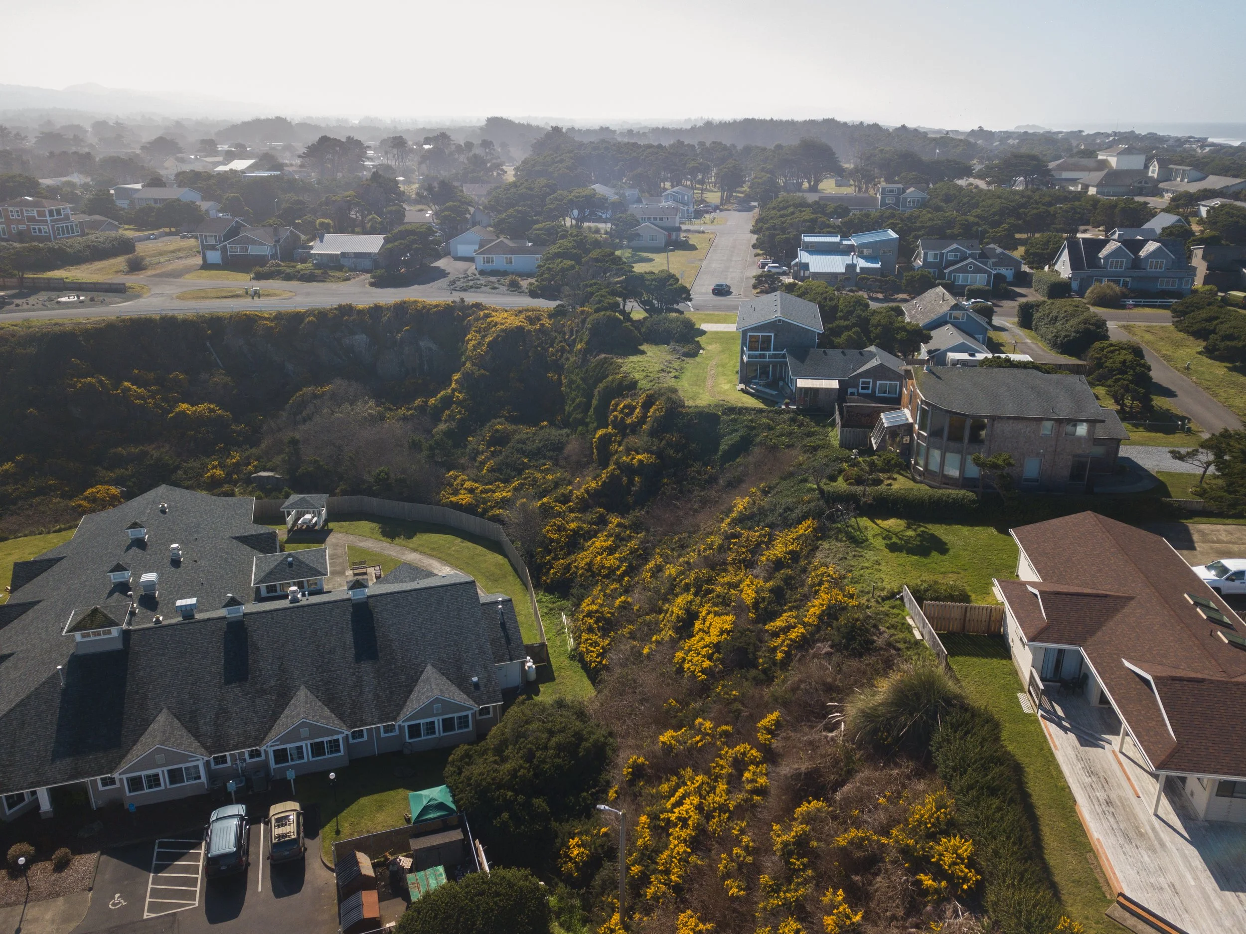 2020.02.27_Gorse_Secton1_DJI_0023.jpg
