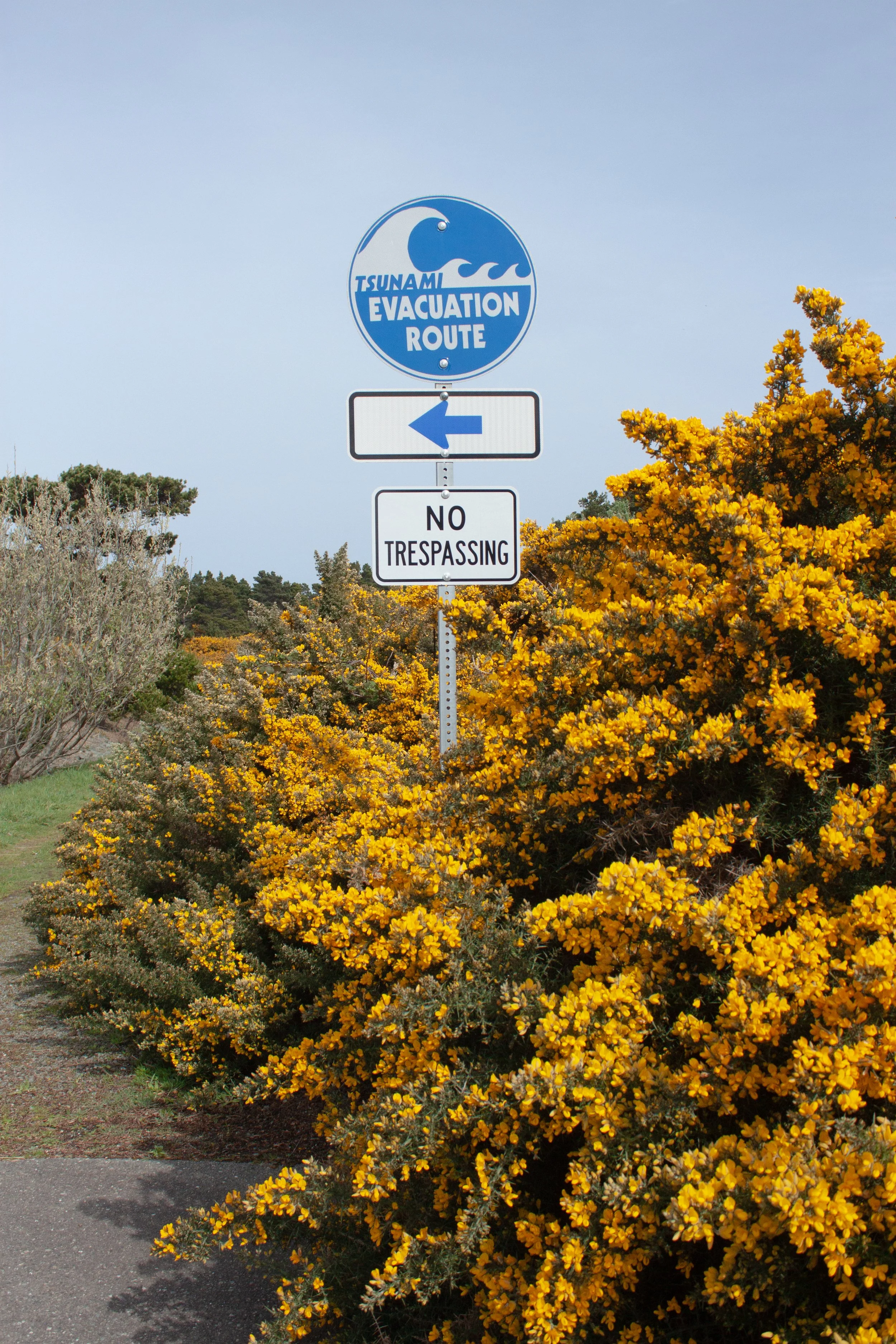 Evacuation route