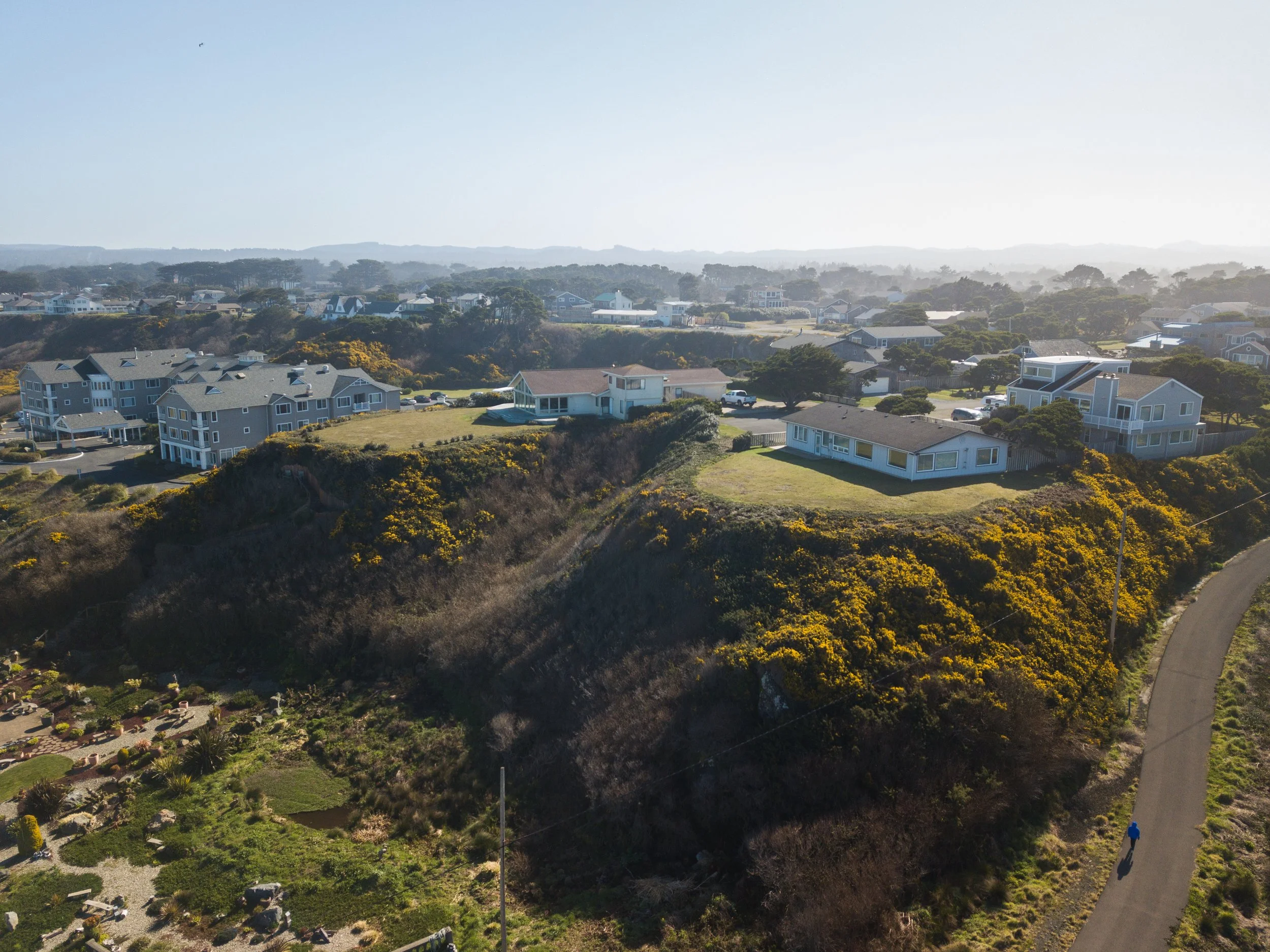 2020.02.27_Gorse_Secton1_DJI_0015.jpg
