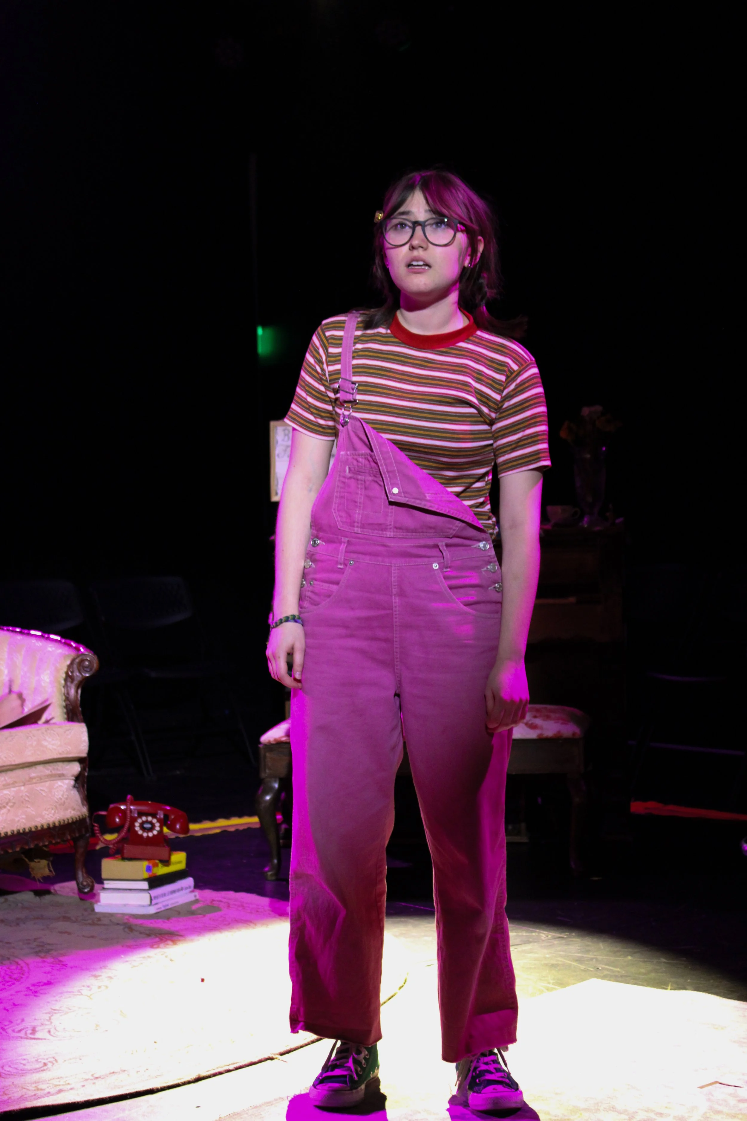 FunHome_Jacobson_2693 3.jpg