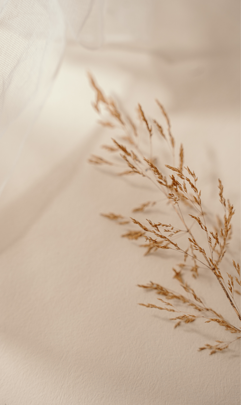 Top Tier Med spa in  Independence, OH, 44131