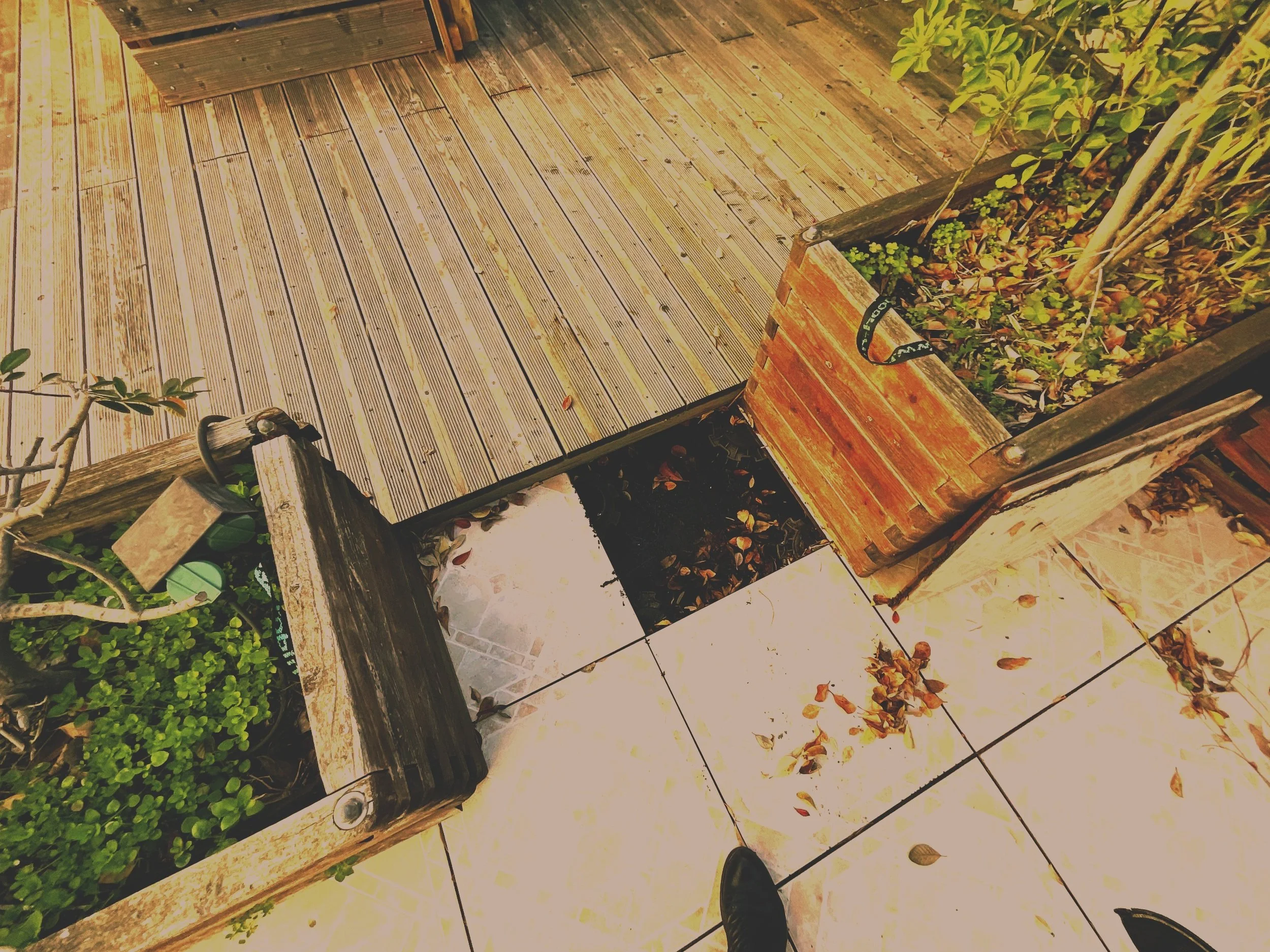 IDS ÉTANCH’ – Diagnostic d’infiltration et d’humidité pour les gestionnaires immobiliers.