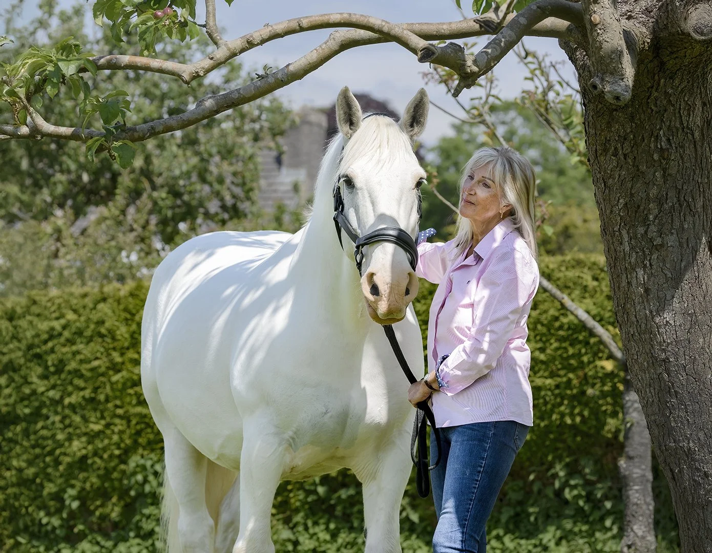 Jan Webb Equine Photography White Tree.jpg