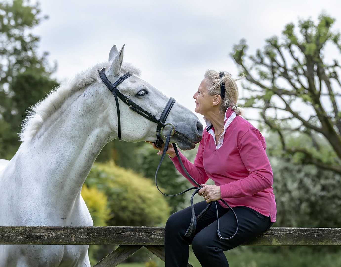 Jan Webb Equine Photography The Gate.jpg
