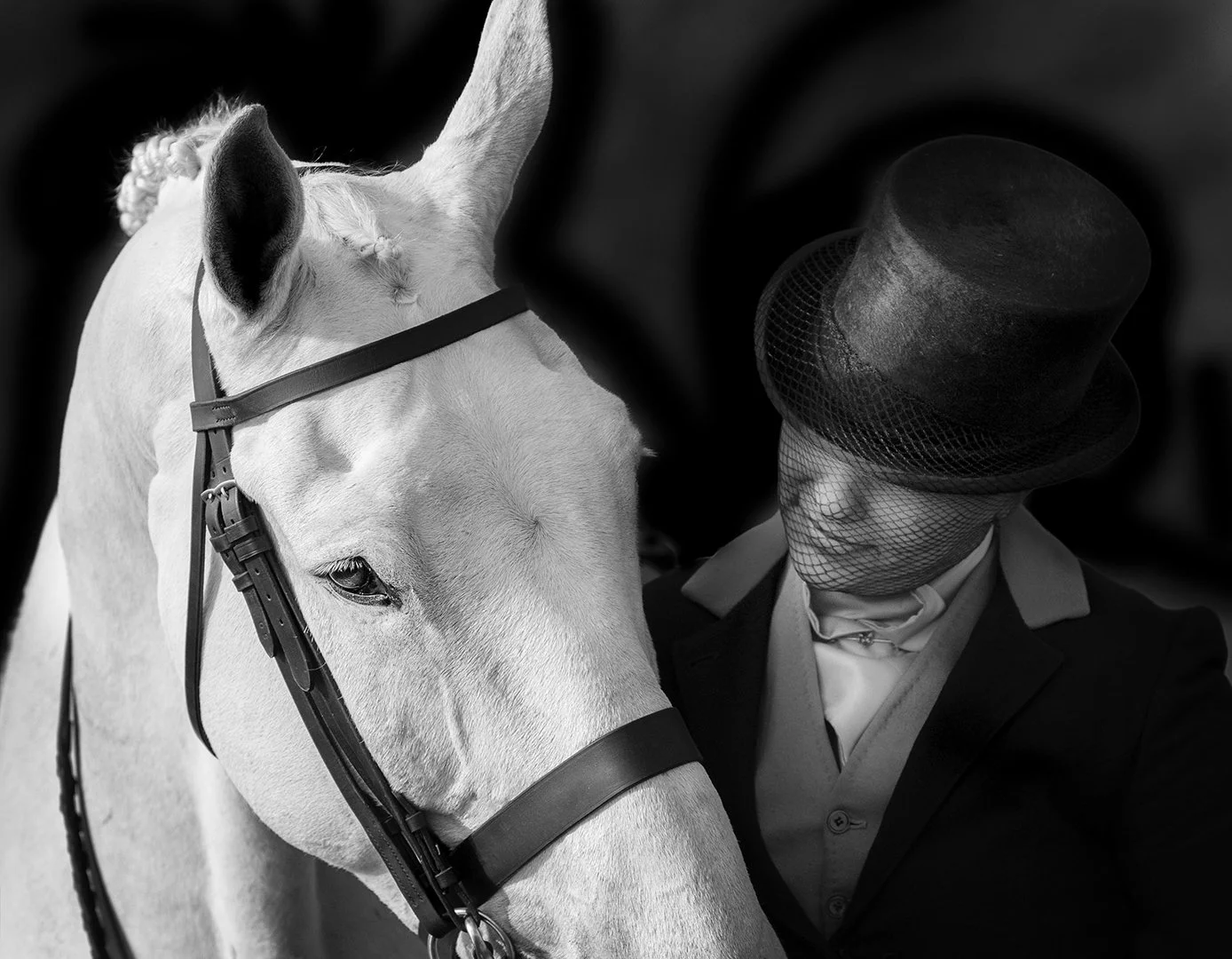 Jan Webb Equine Photography Black and White Dressage.jpg