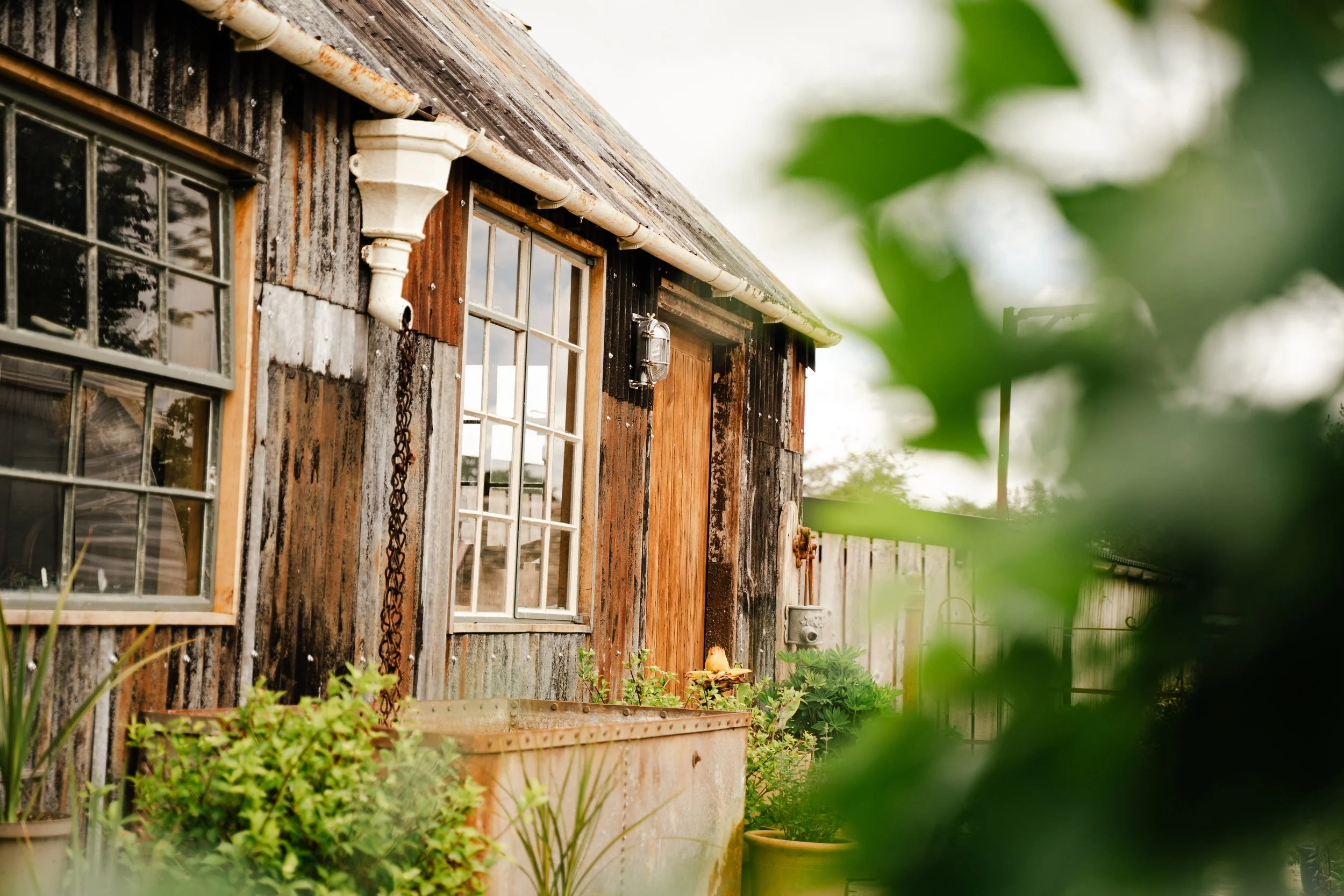 Close-up of an old weathered wooden house with multiple windows, a white gutter, and some green plants in the foreground.