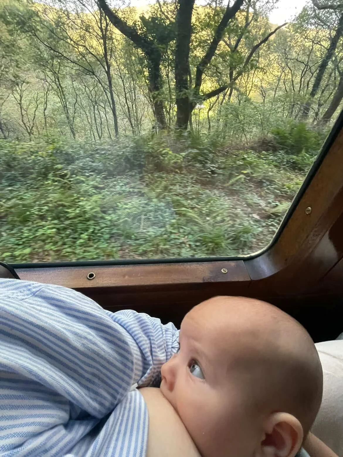 Baby on train outing - infant feeding and breastfeeding support on the go Nurtured With Joy IBCLC Bath Wiltshire