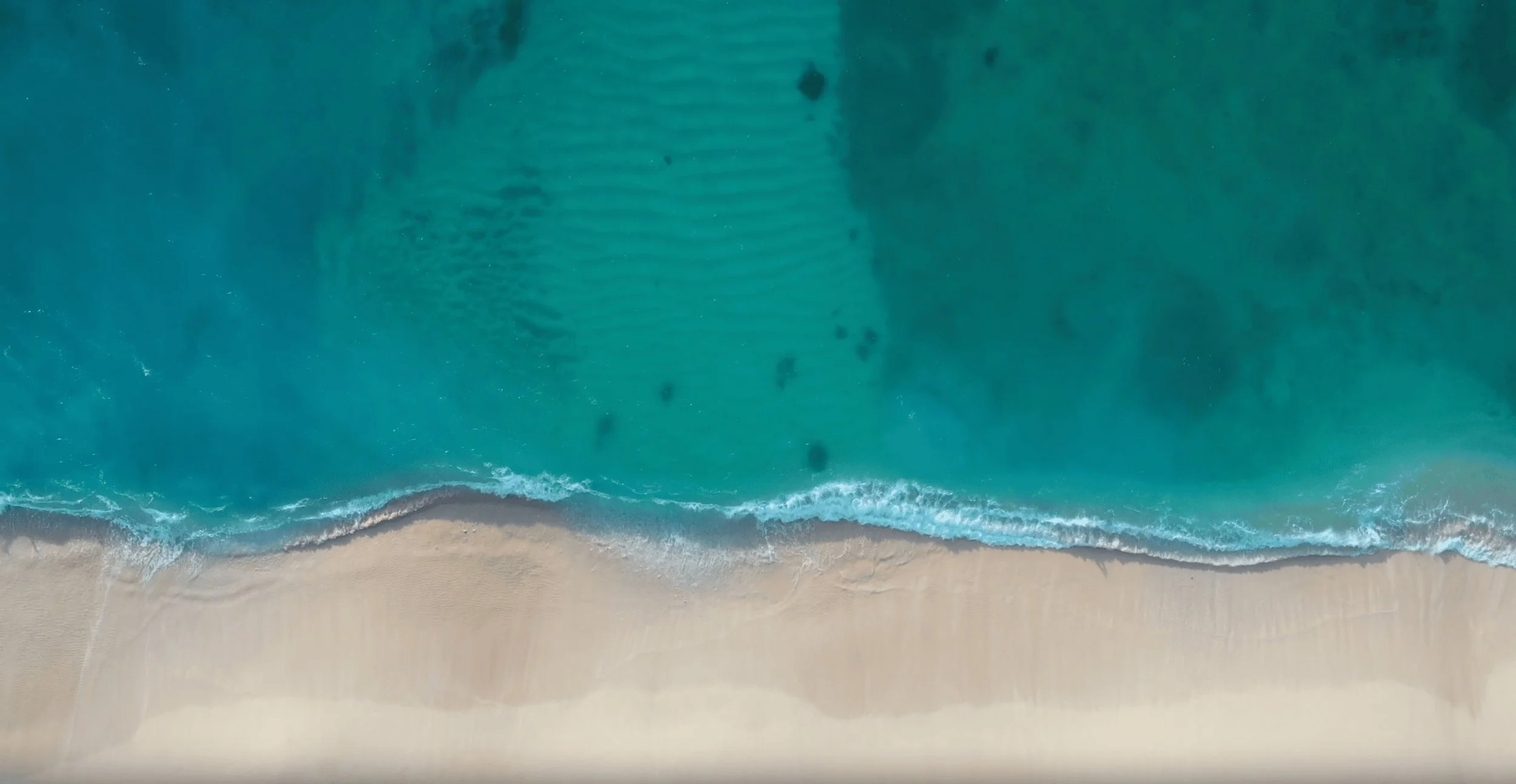 Rita-Tapia-Ottawa (1).jpeg