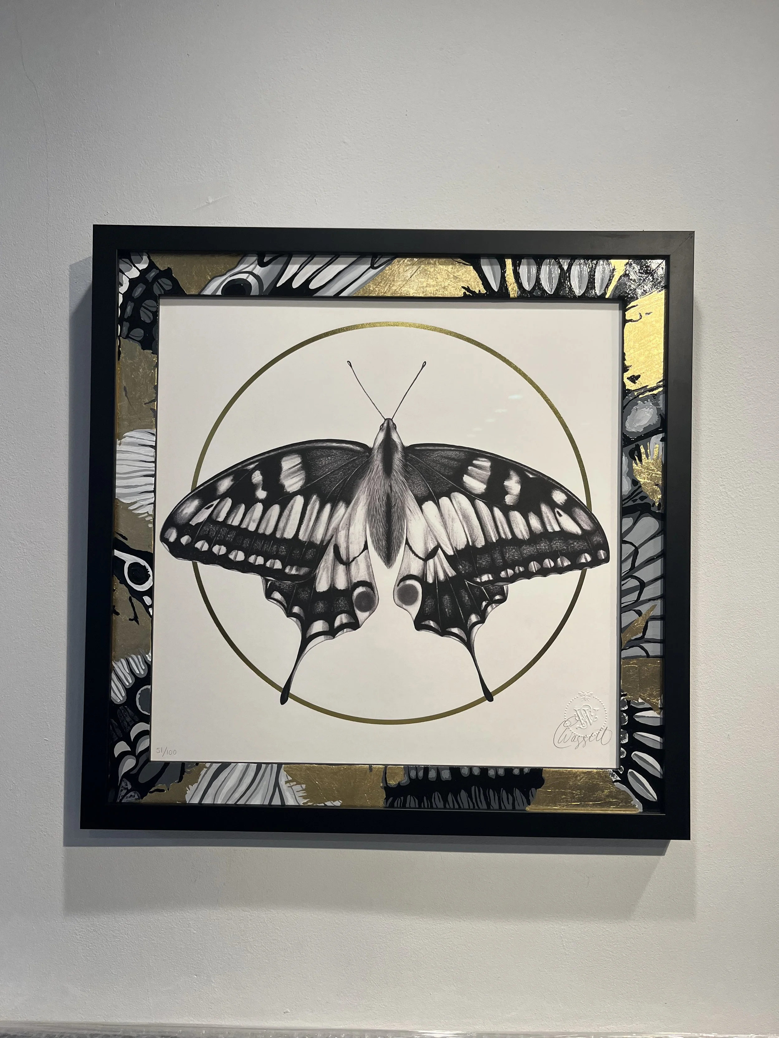 A framed black and white illustration of a butterfly with intricate wing patterns, encircled by a gold ring, mounted on a white wall.