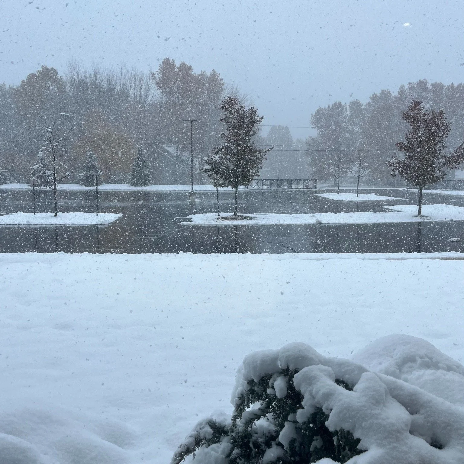 It's a snowy day here in Stevensville but we will still be running all of our normal classes, practices, and games this evening, including Learn to Skate ❄