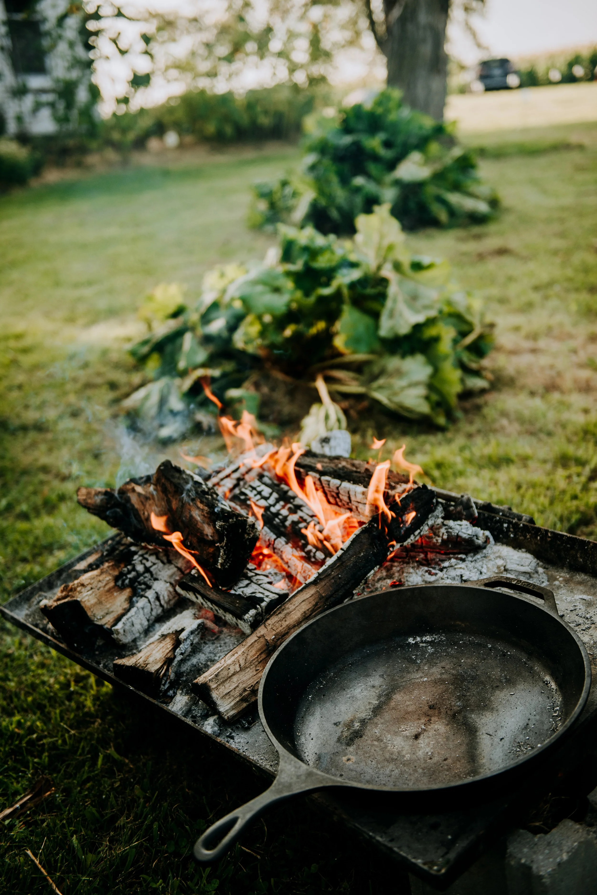 Outdoor scene with a bonfire and a pile of leafy greens in the background.