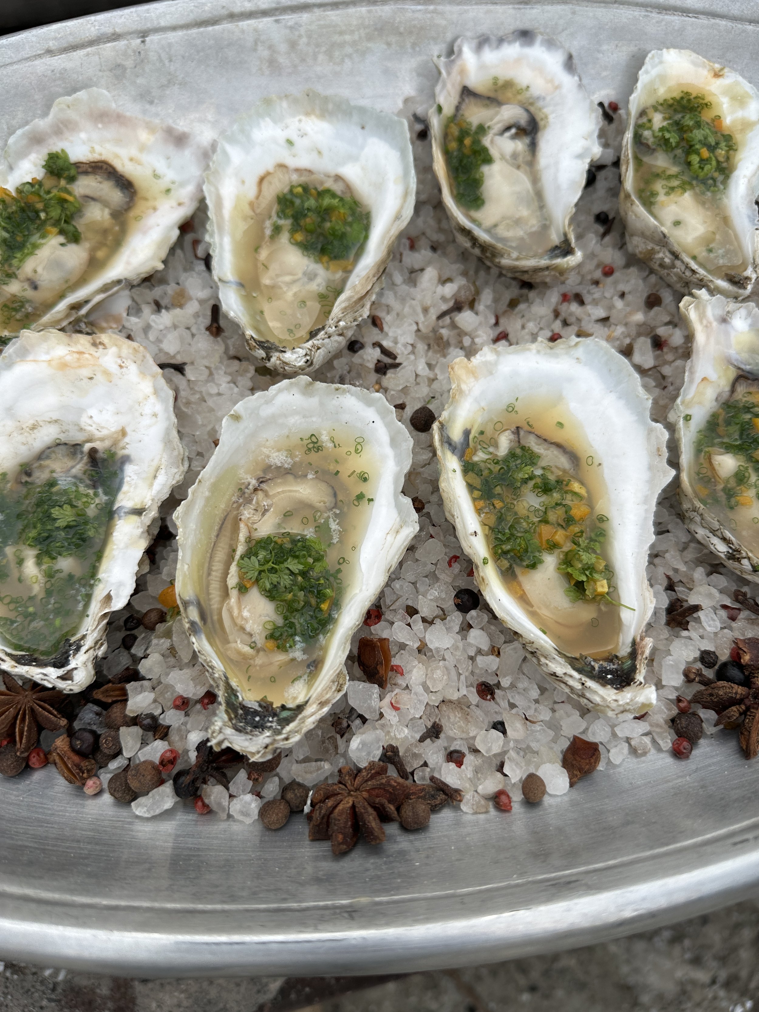 Oysters on a bed of salt, garnished with green herbs and spices.