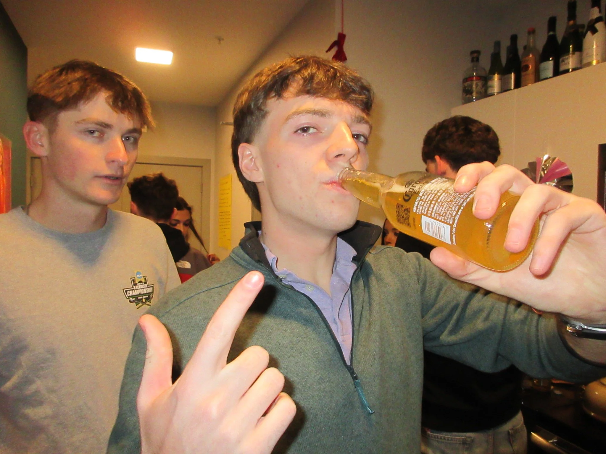 The Elephant In The Room 