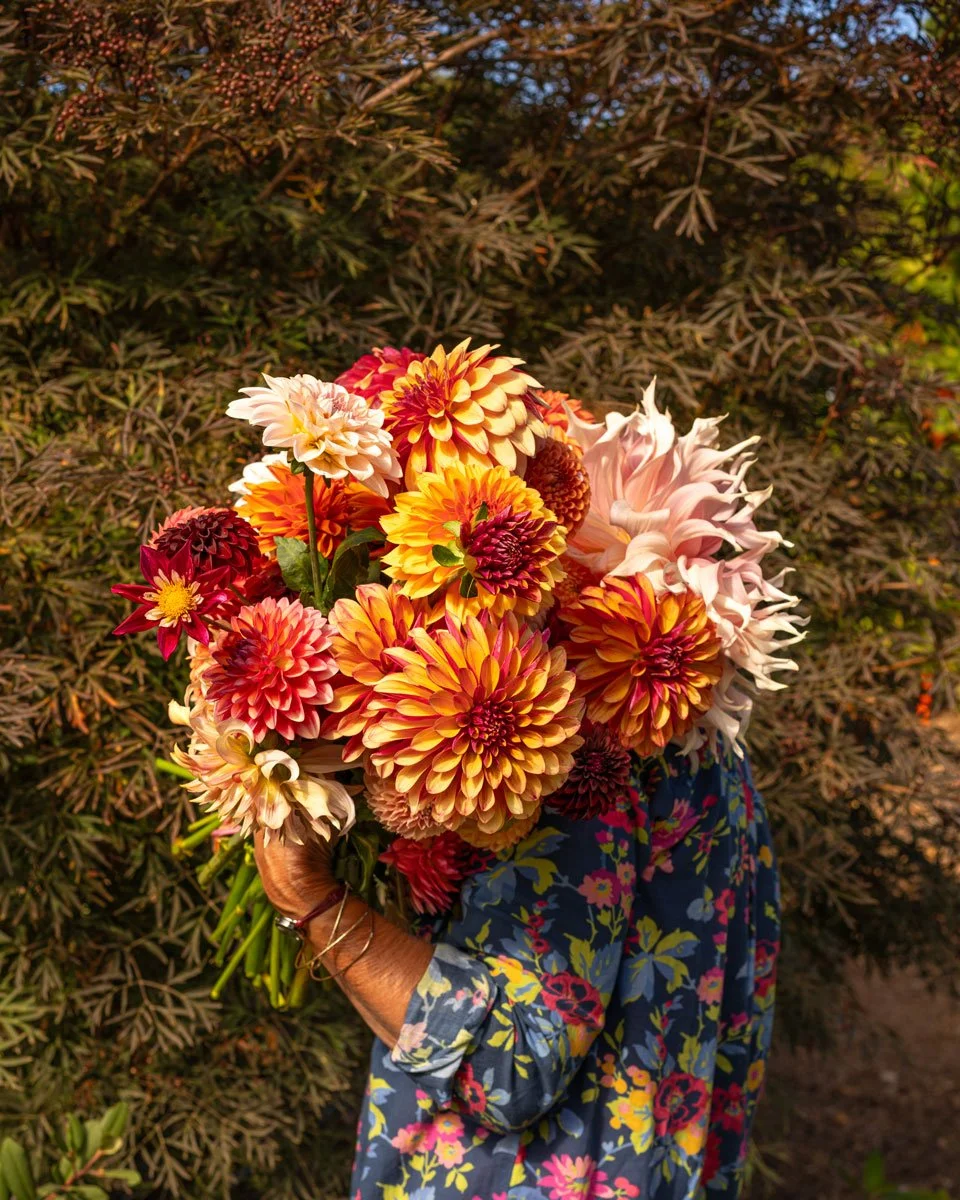 PhotoEmmaKruch-EmmaKCreative-Twith-Flowers01876.jpg