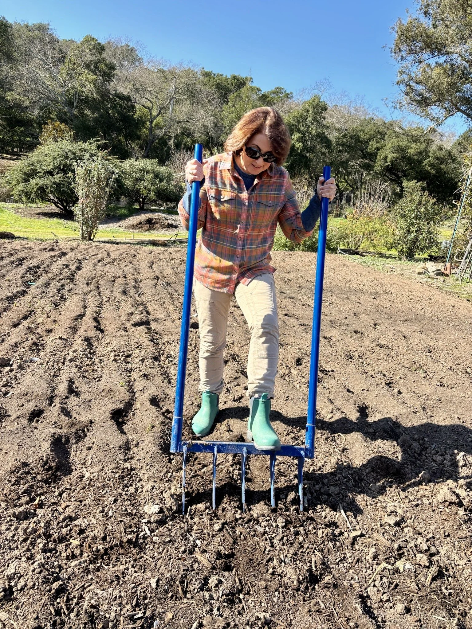 A woman standing on a garden rake on a dirt field, wearing green rain boots, a plaid shirt, beige pants, and sunglasses, working or preparing the soil in a garden during a sunny day with a clear blue sky.