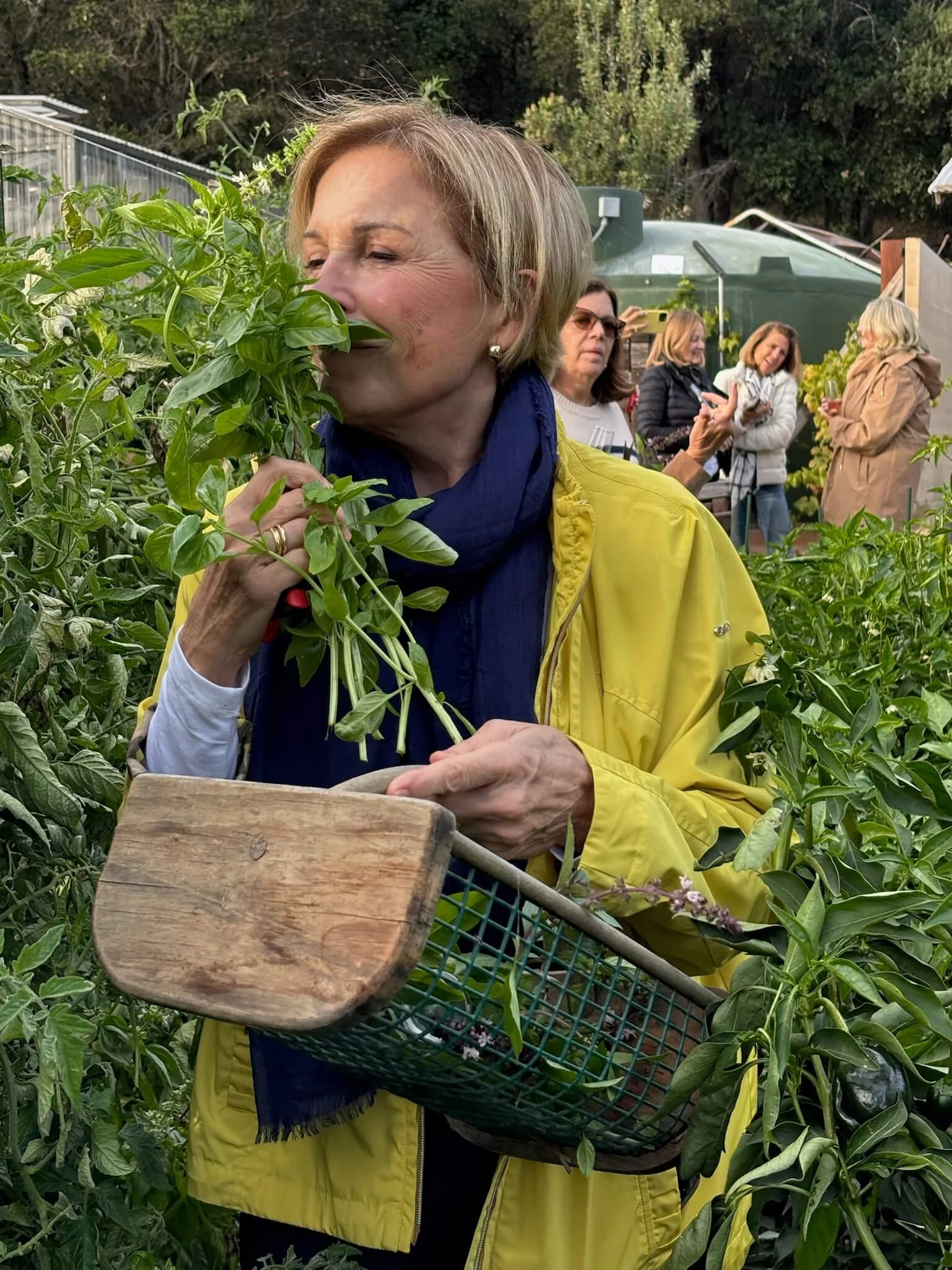 Woman smelling basil in a garden with other people in the background