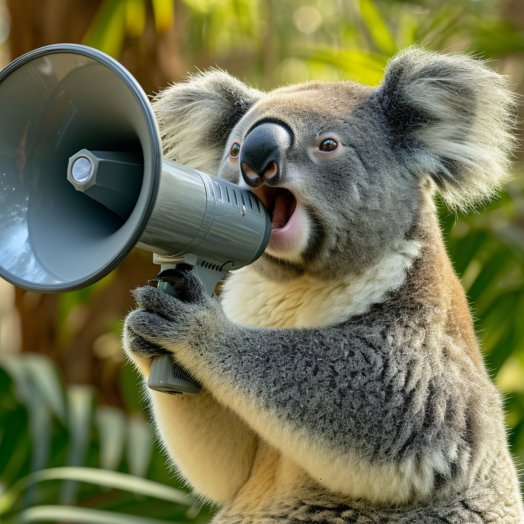 A koala holding a gray megaphone in a natural outdoor setting with green trees and foliage.