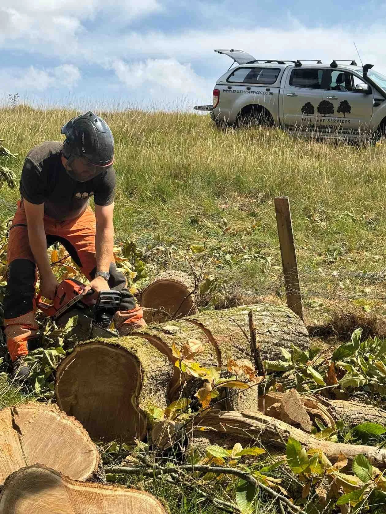 How to Choose the Right Tree Surgeon: Questions to Ask Before You Hire