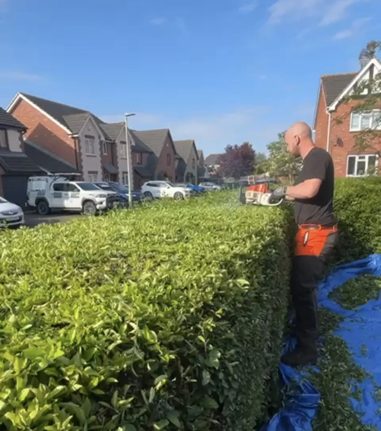 Hedges and High Hedges: What the Law Says.