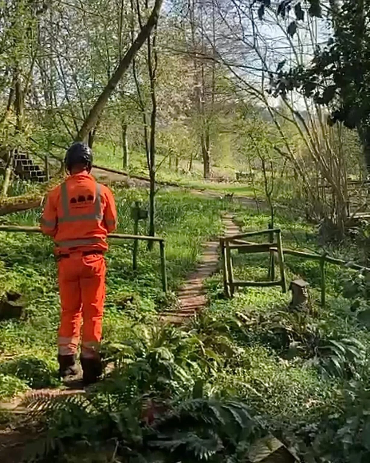 Common Misconceptions About Tree Health &amp; Professional Tree Care.