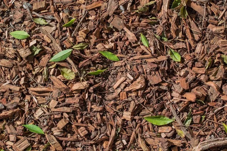 Woodchip and Mulch Explained: What They Are and How They Can Be Used.