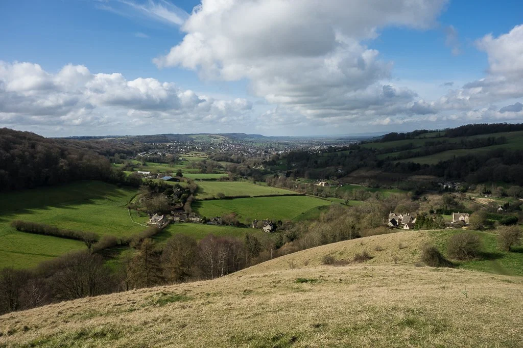Choosing the Right Trees for Your Garden: Tips for Gloucestershire Conditions.