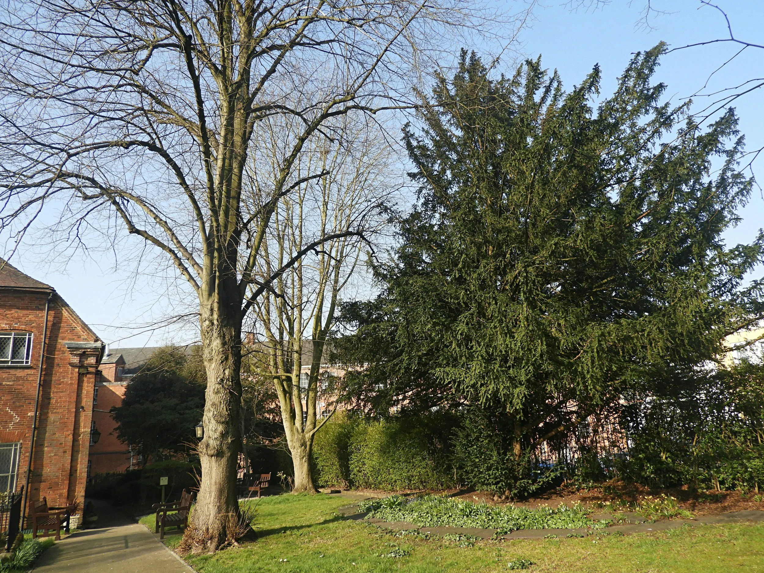 Tree Reduction in Gloucester &amp; Cheltenham: What Happens During the Process?