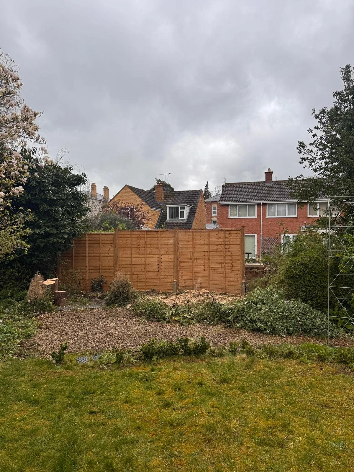 tree removal the cotswolds