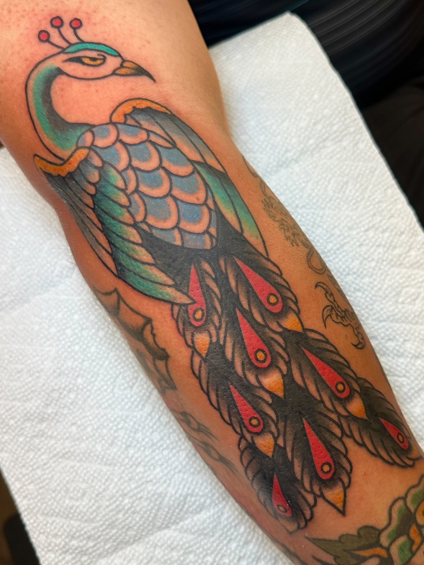 Devious peacock gap filler for Nik. Thanks for the trust!

🏁evanricetattoos@gmail.com for appointments🏁

Find me at @wingandwheeltattoo 🫶