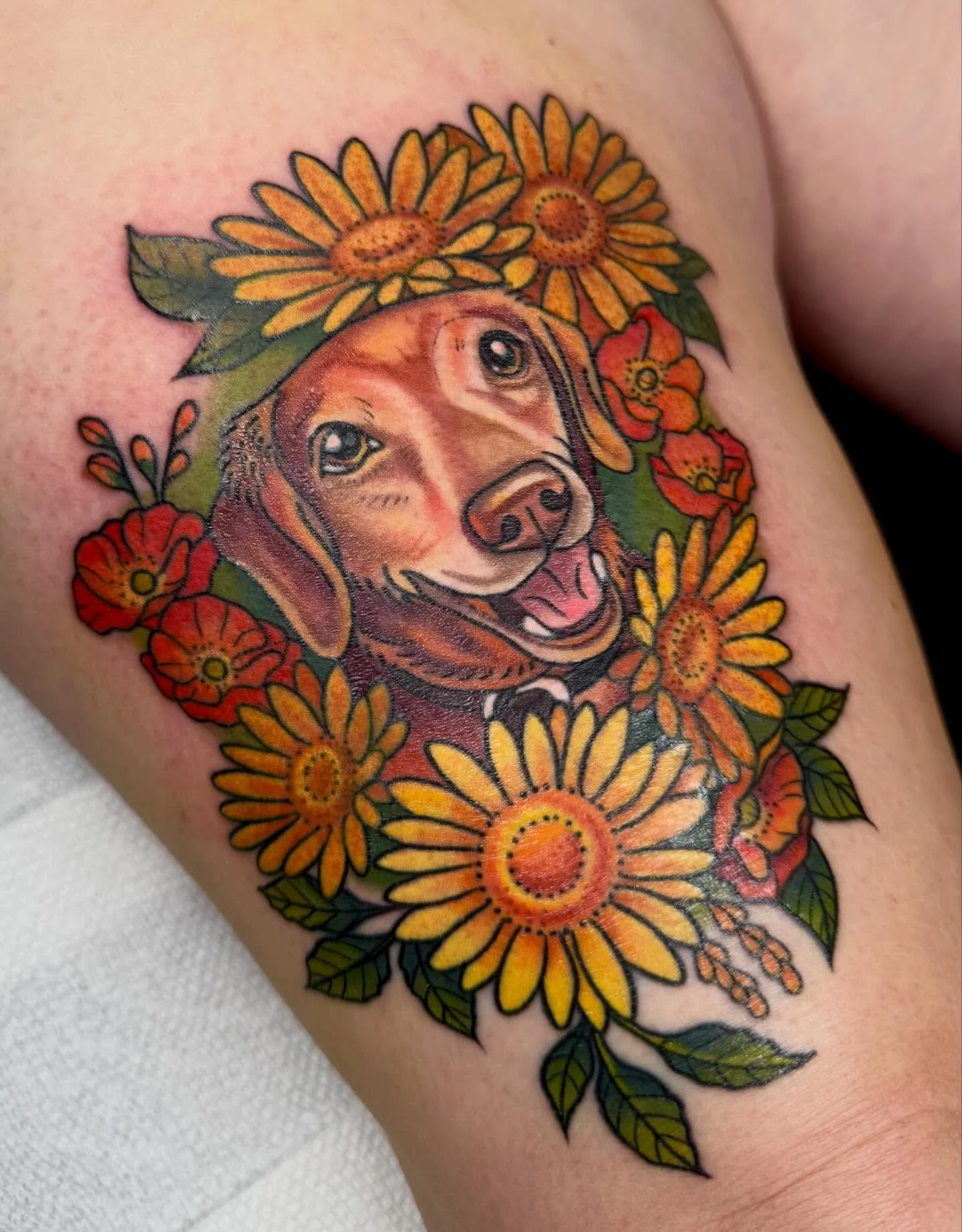 Thanks for trusting me with your fur baby, Elizabeth! (Some healed, some fresh) 

Tattoo based on a line drawing by @ordieralineart