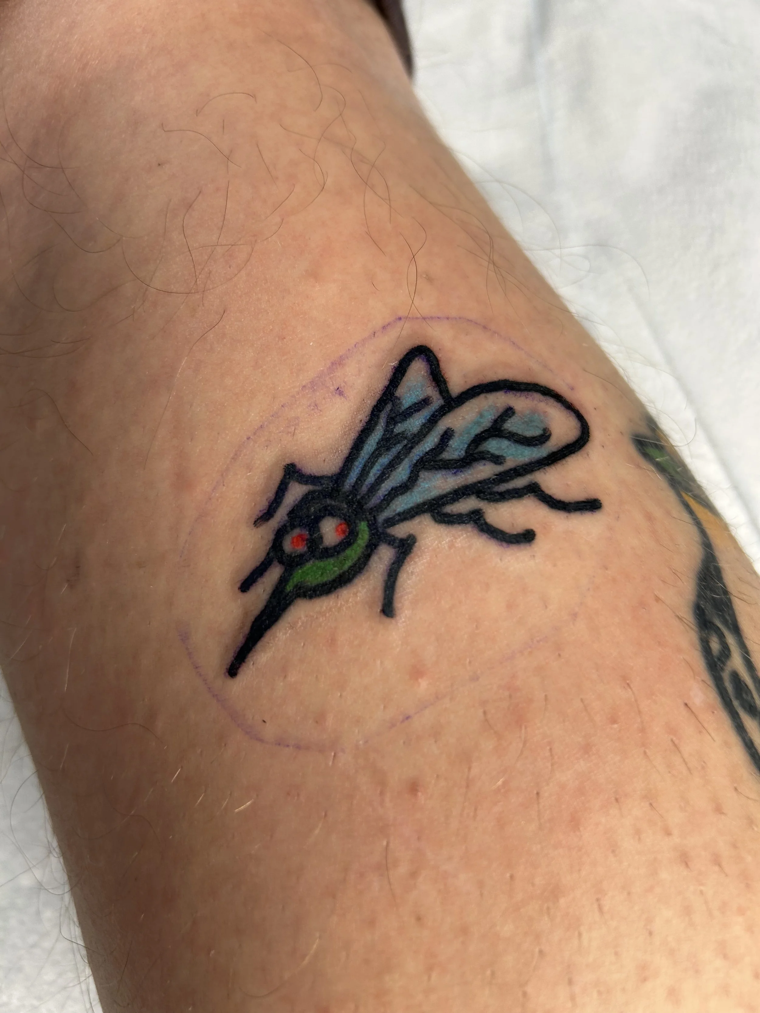 A fresh tattoo of a cartoonish fly with gray wings, black body, green head, and red eyes on a person's upper arm.