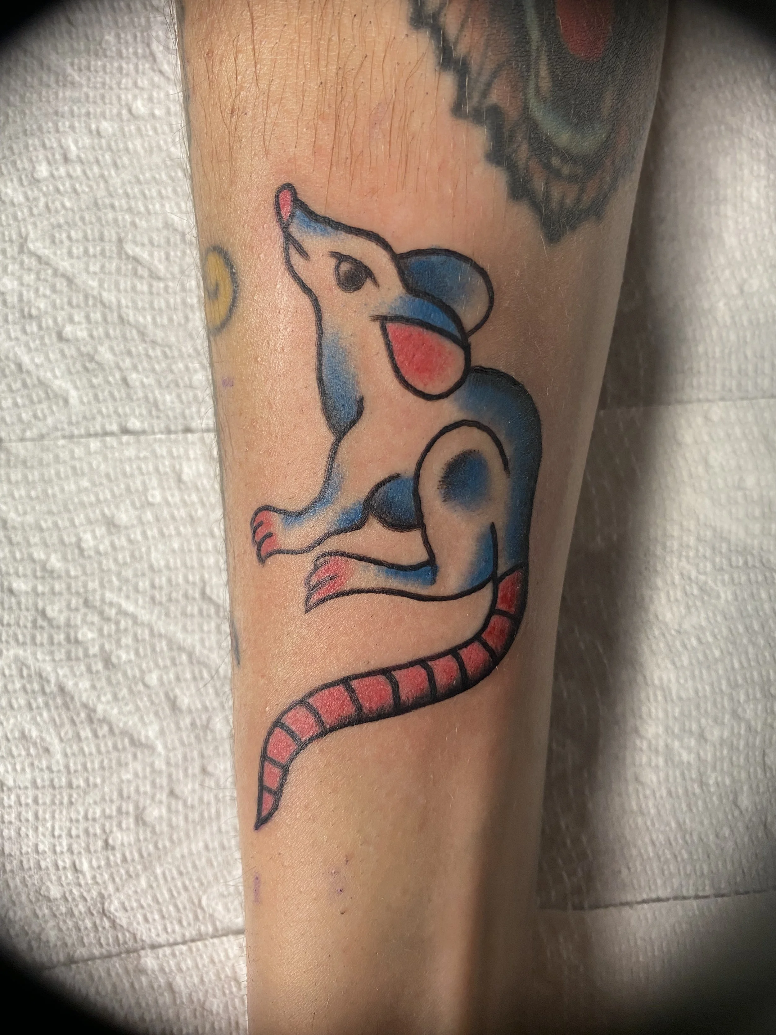 Tattoo of a rat with a blue and pink color scheme on a person's skin.