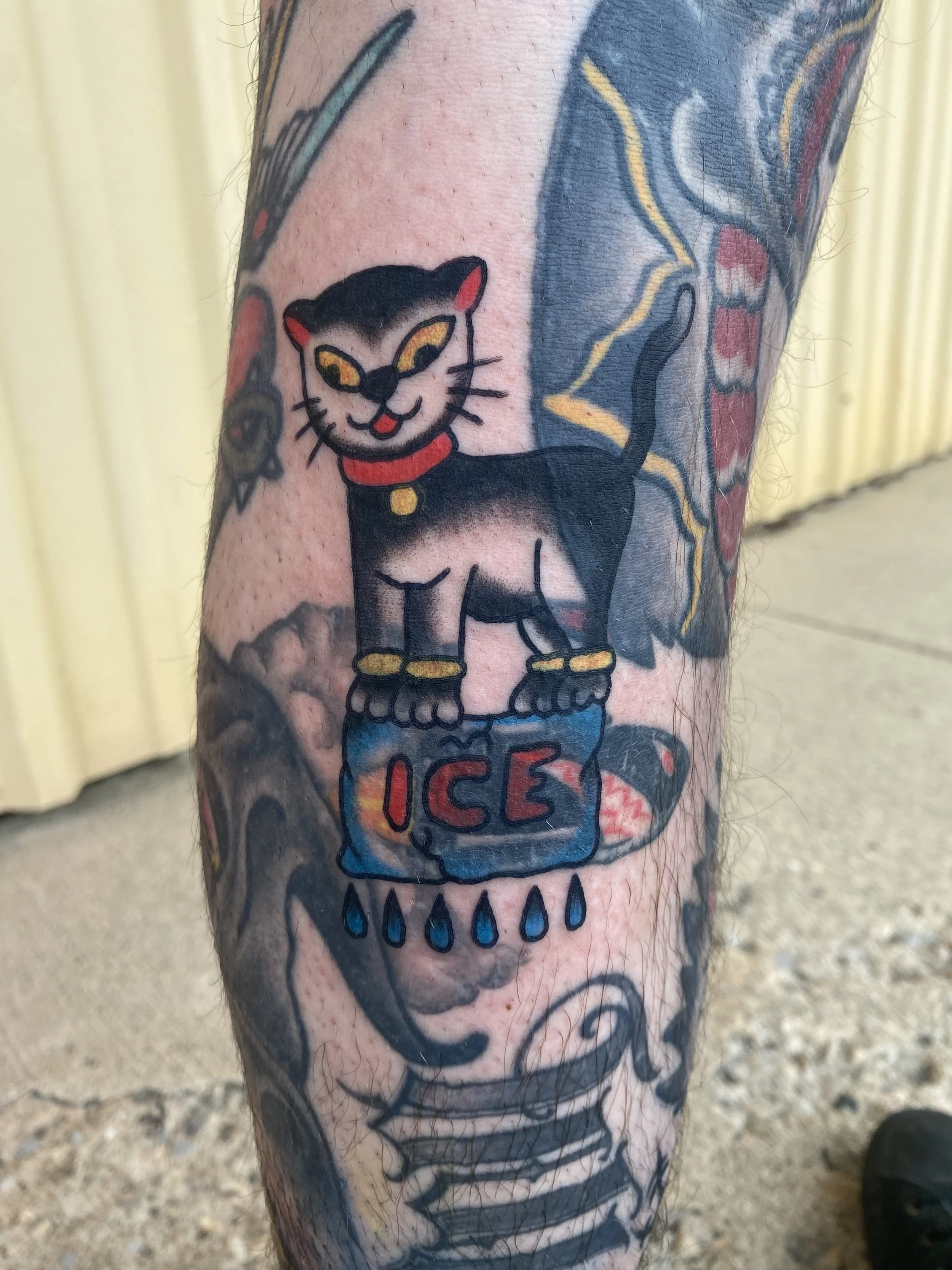 Traditional-style tattoo of a black cat with a red collar and gold bells, sitting on an ice block labeled 'ICE,' with water droplets underneath.