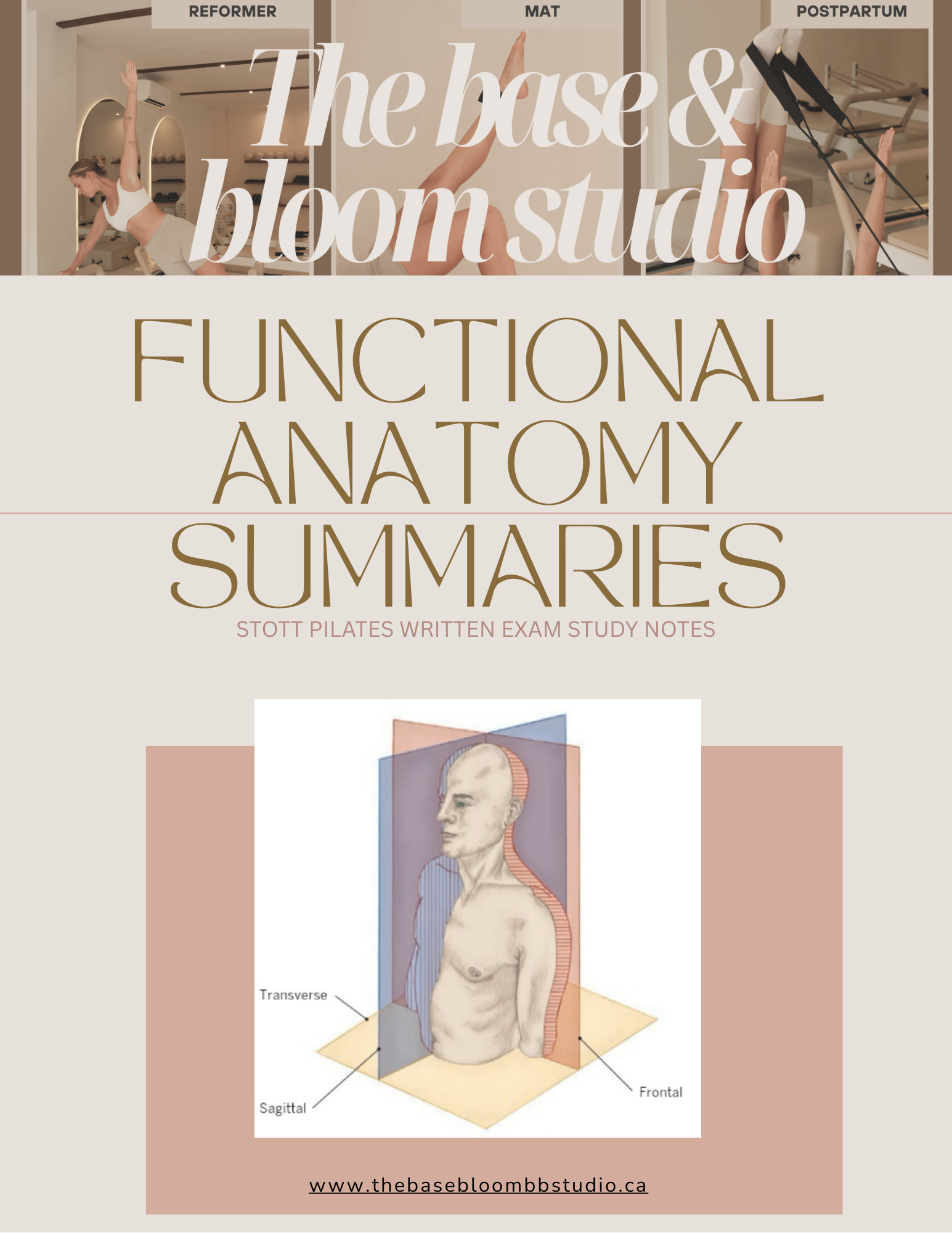 flyer_Functional Anatomy Summaries.png