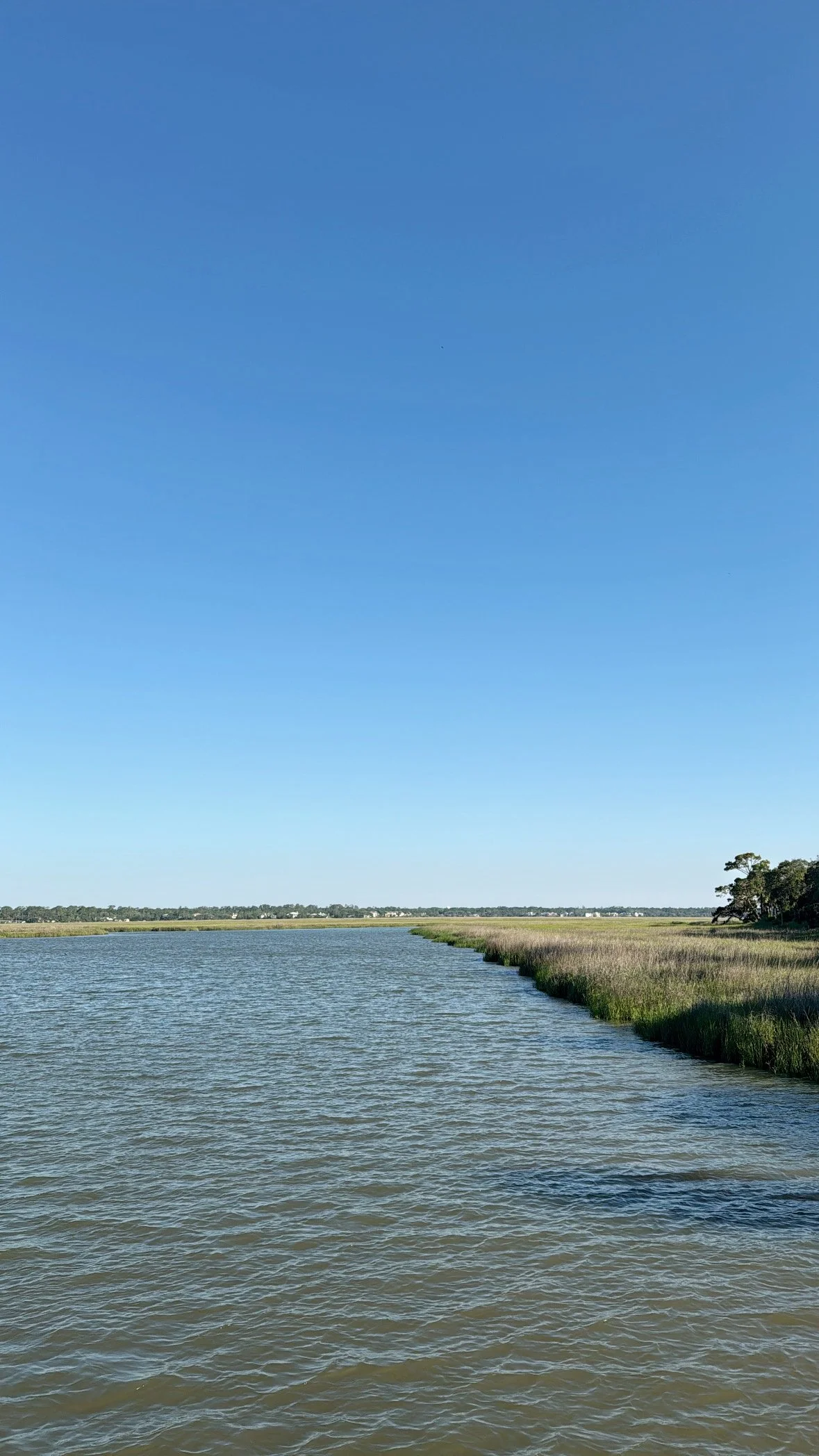 A45EA56D-2CB9-4E3A-B8F7-38C30787BCB1.jpg