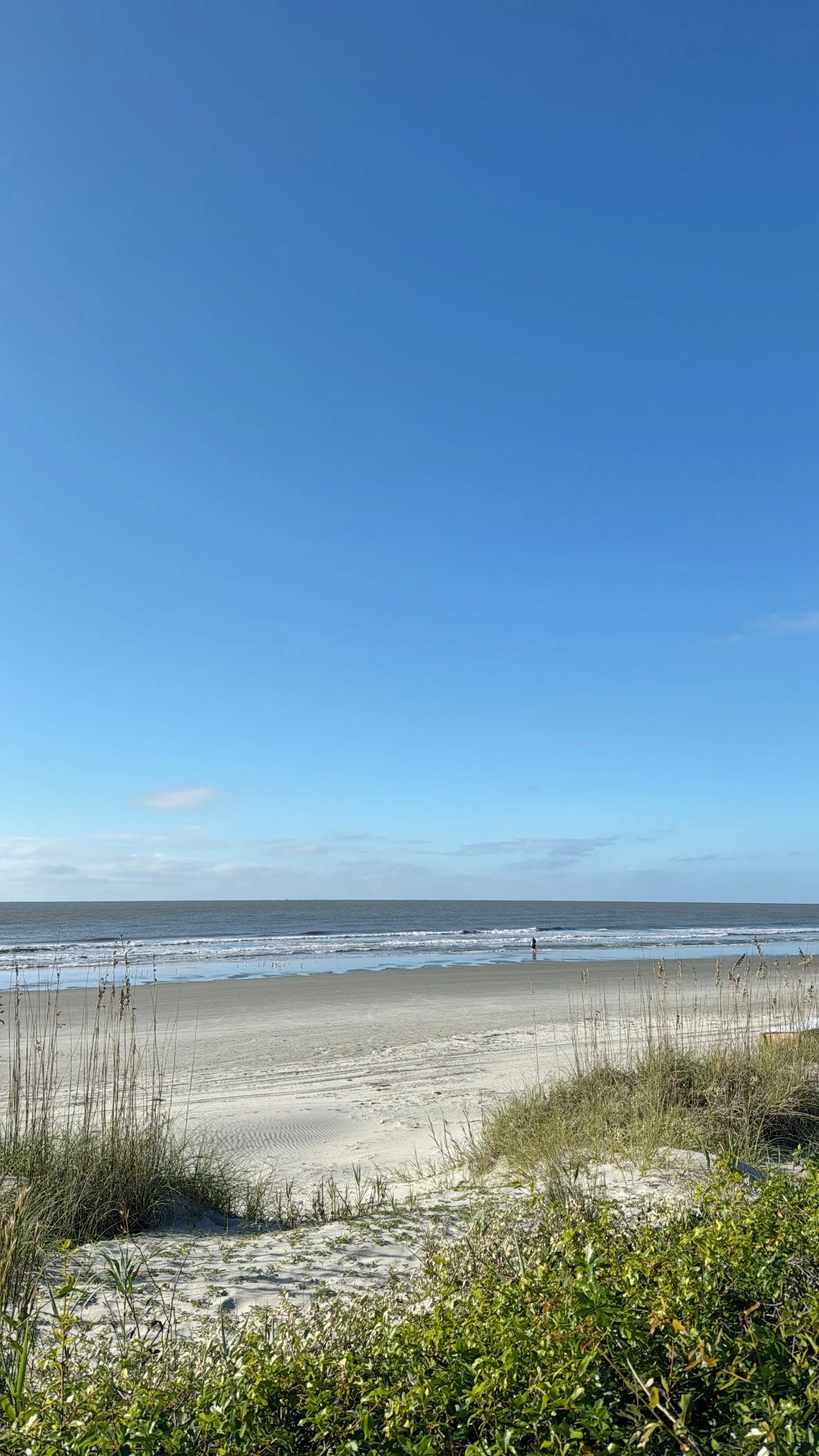 Kiawah 3.JPG