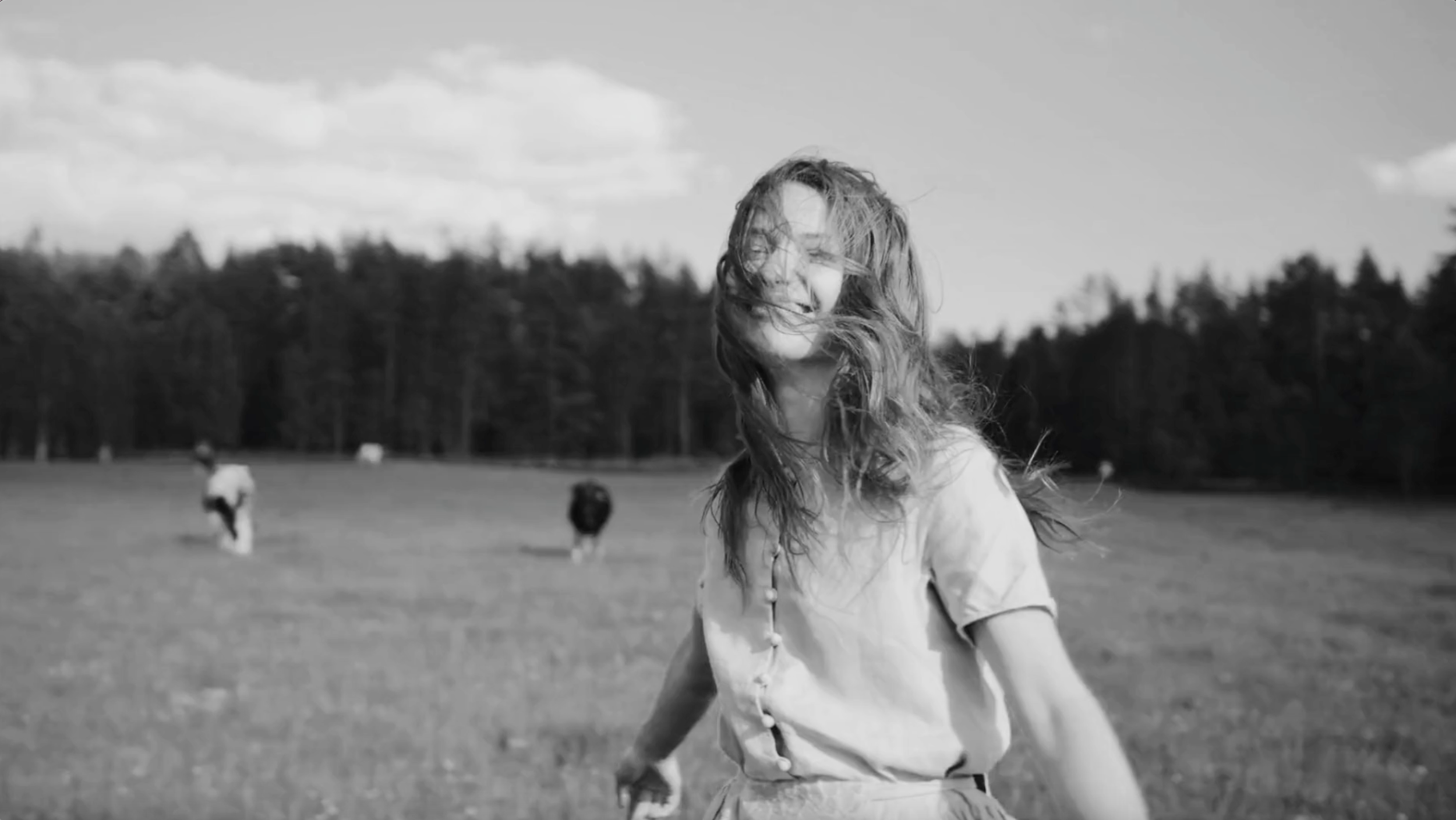 Adaris - Video Cover (3).png