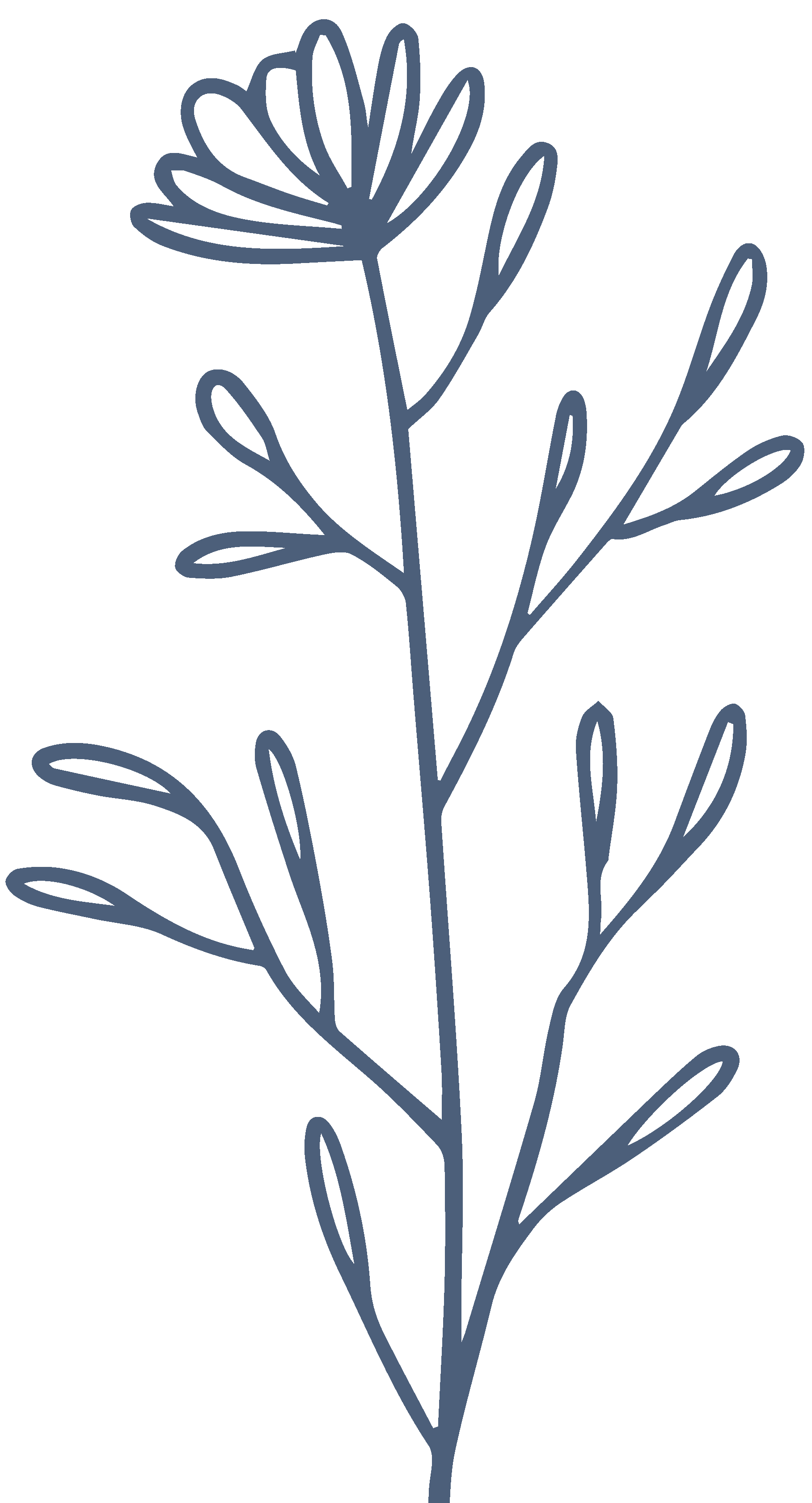Outline of a single blue flower with multiple elongated leaves on a black background.