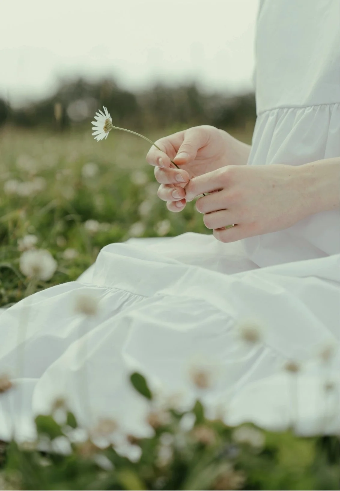 Person in a white dress holding a daisy flower in a grassy field with more daisies around.