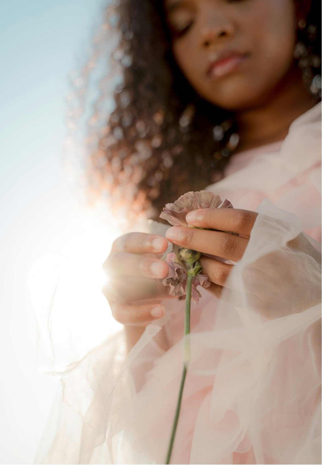 A woman holding a pink flower, the sunlight behind her creates a bright, glowing effect.