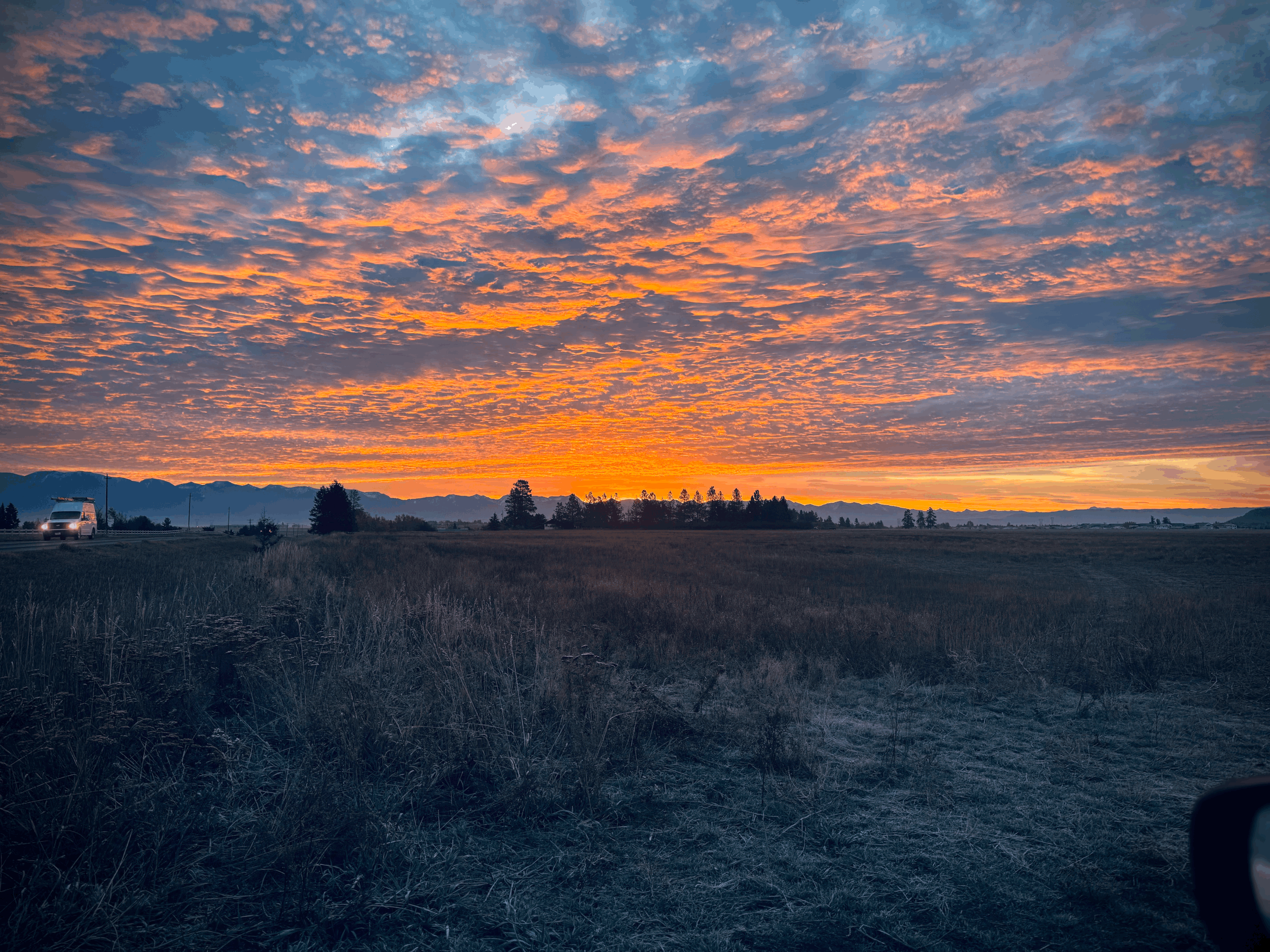 From Life-Saving Surgery to Lifelong Consequences: My Fight for Answers&nbsp;